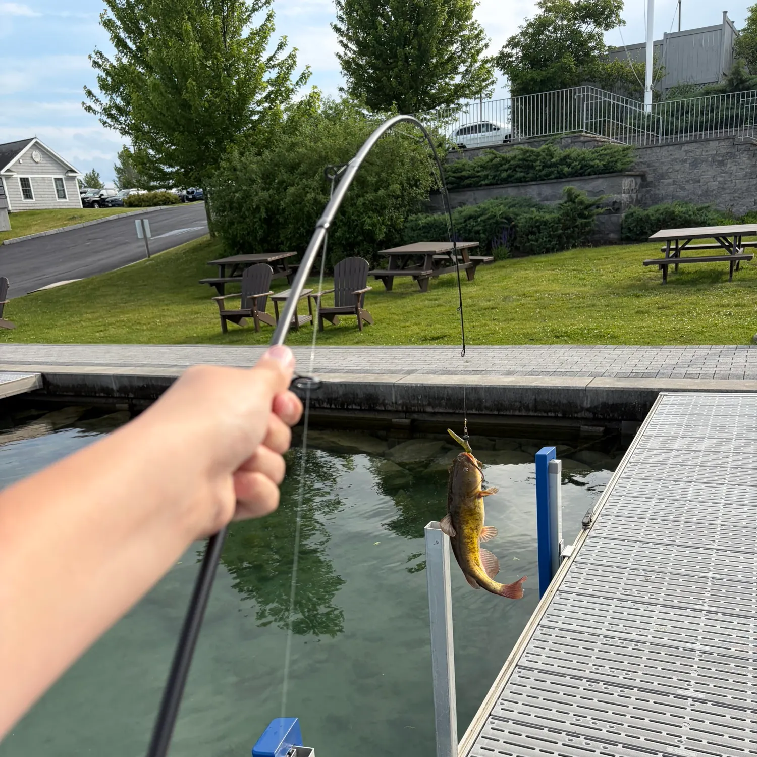 catch