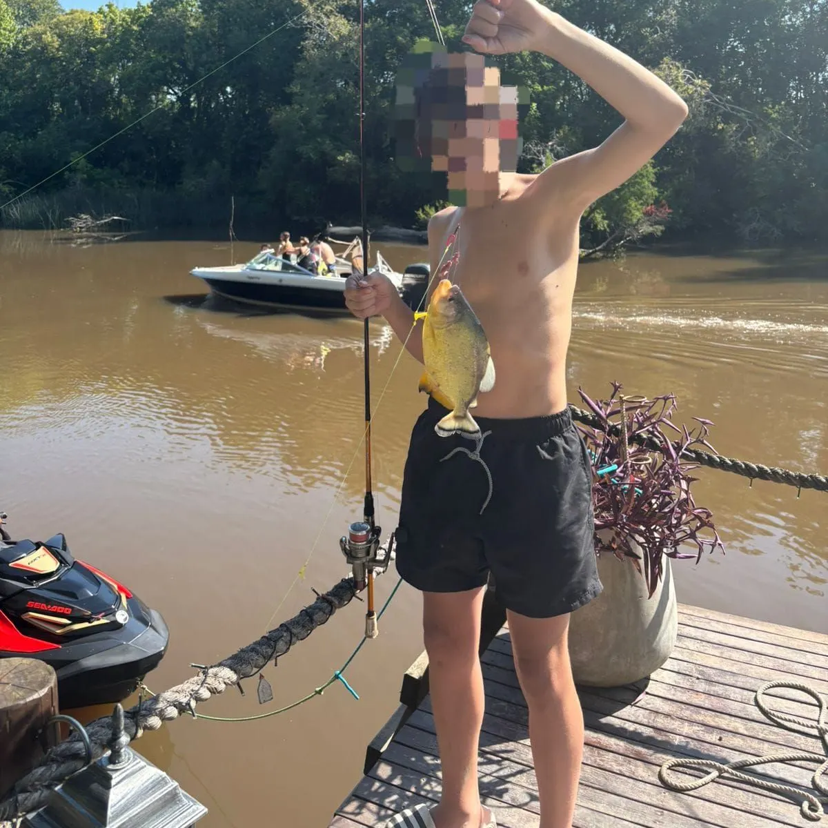 The most recent Parona leatherjacket catches on Fishbrain