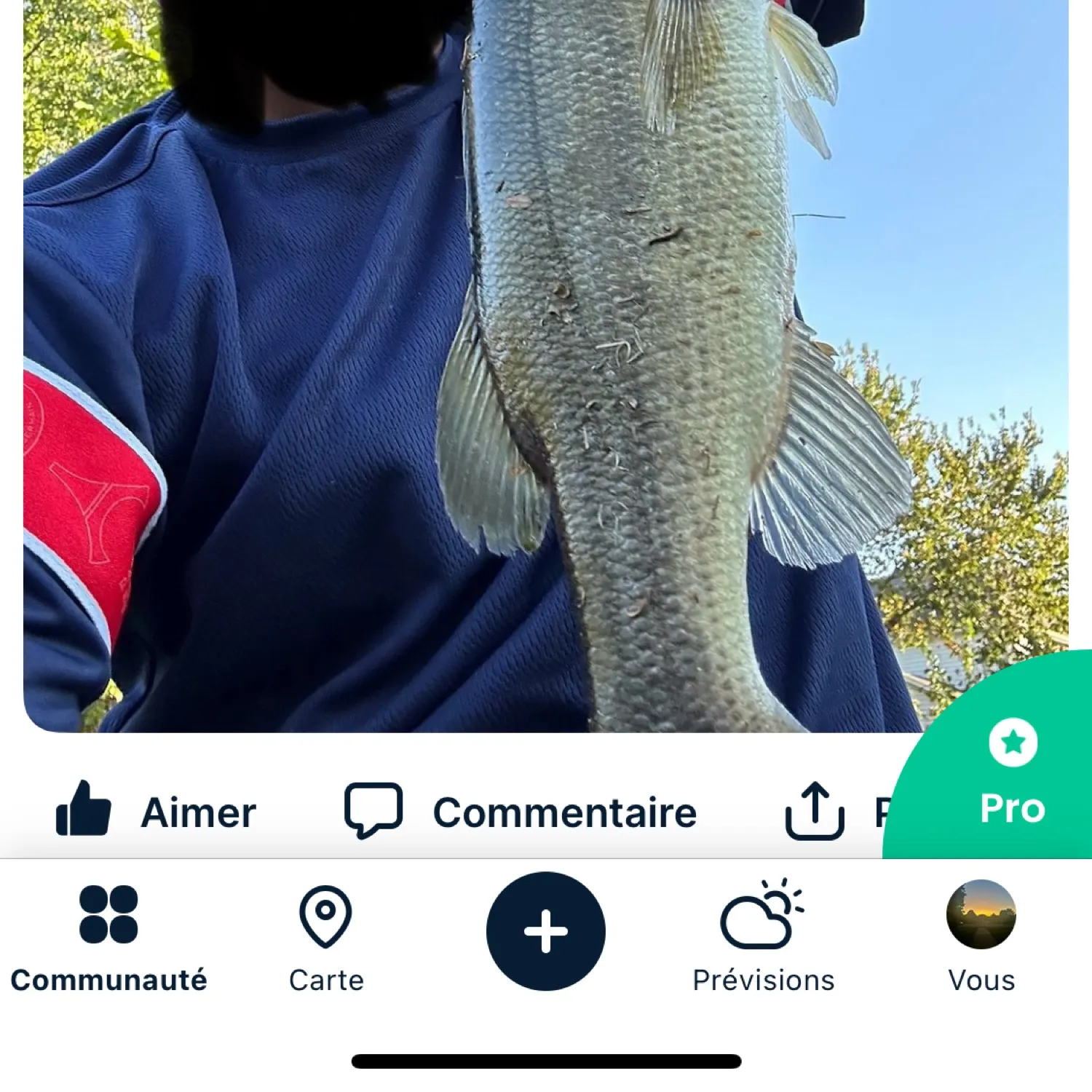 recently logged catches