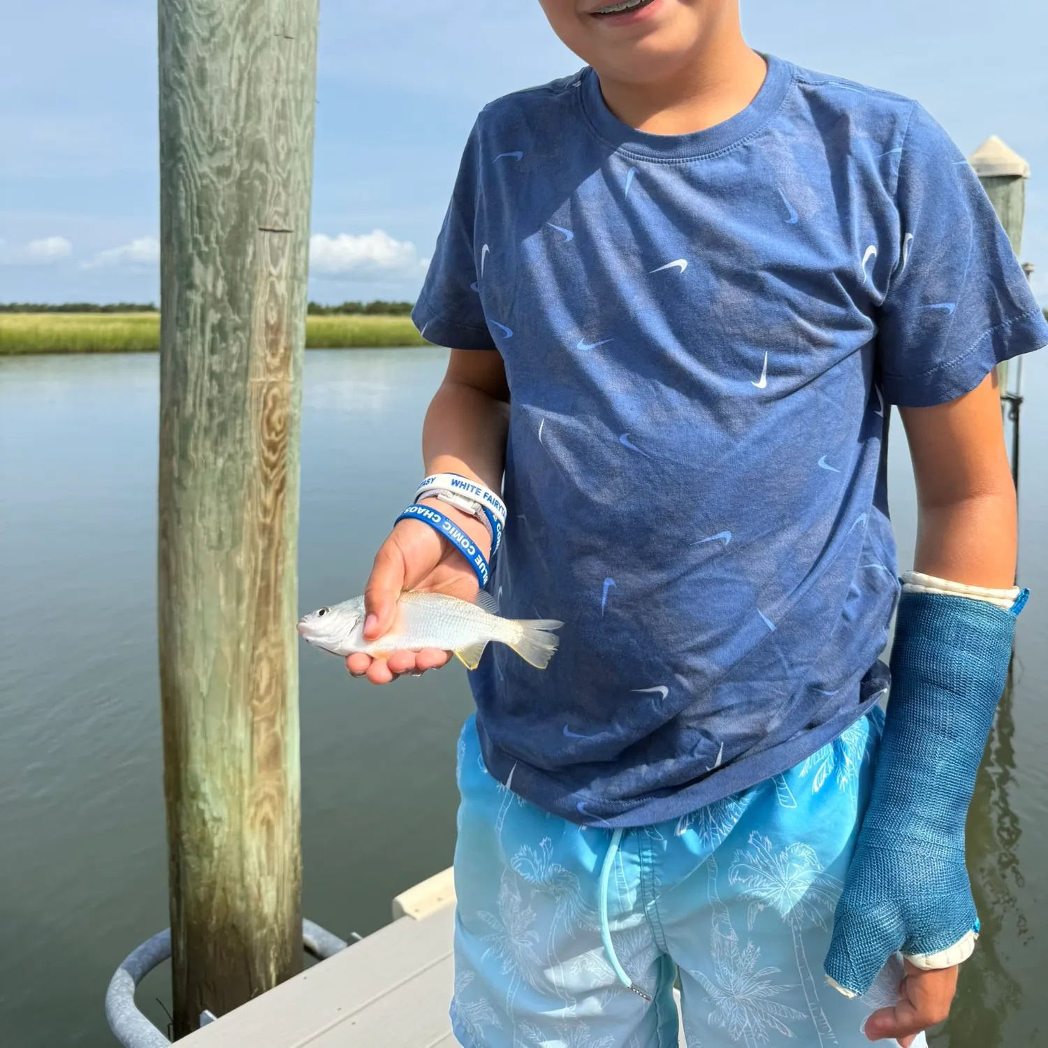Silver perch caught on Fishbrain