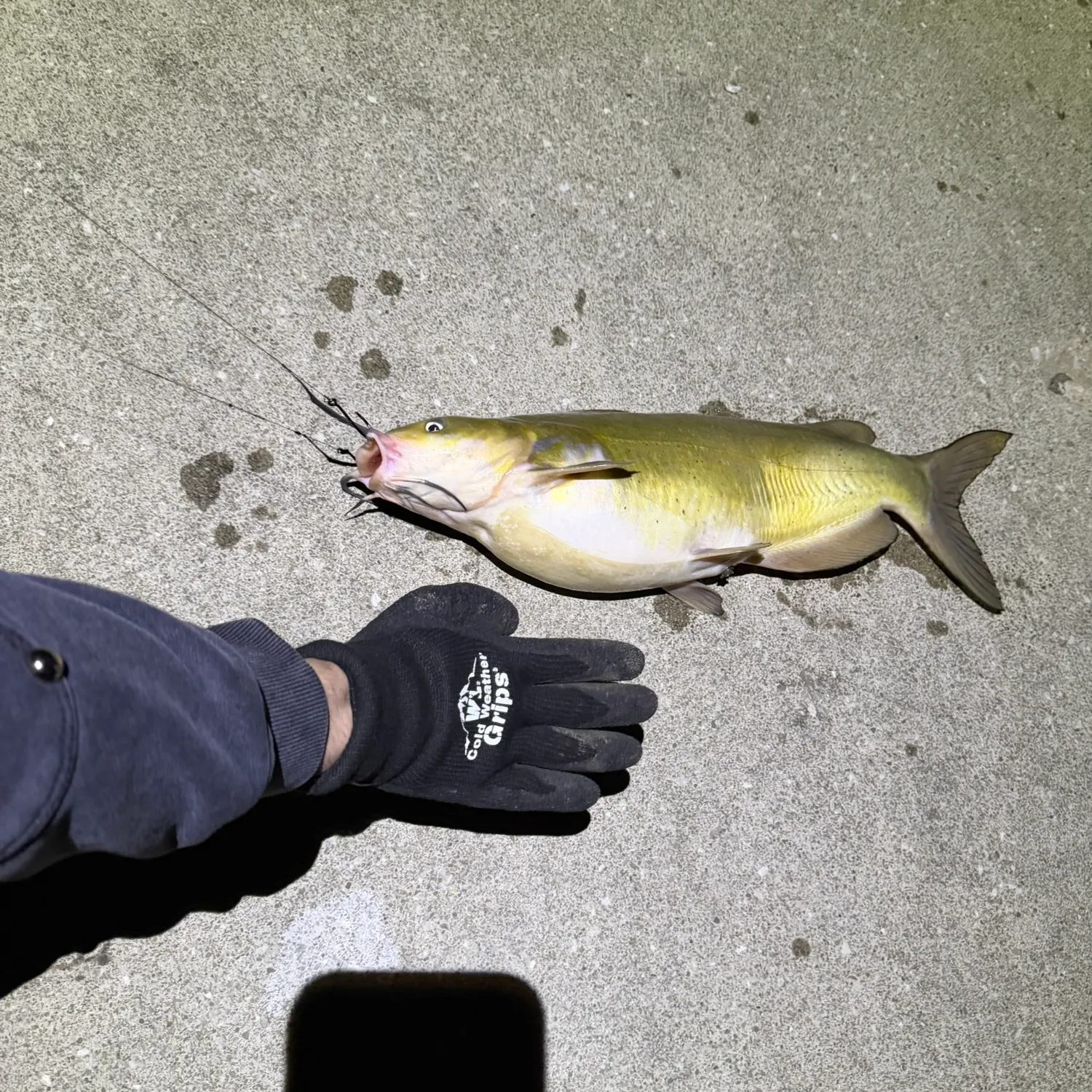 catch