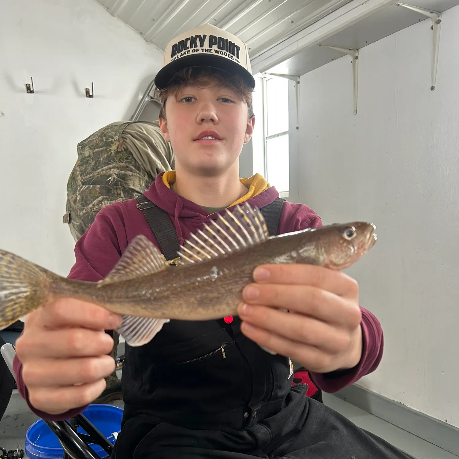 The most recent Sauger catches on Fishbrain