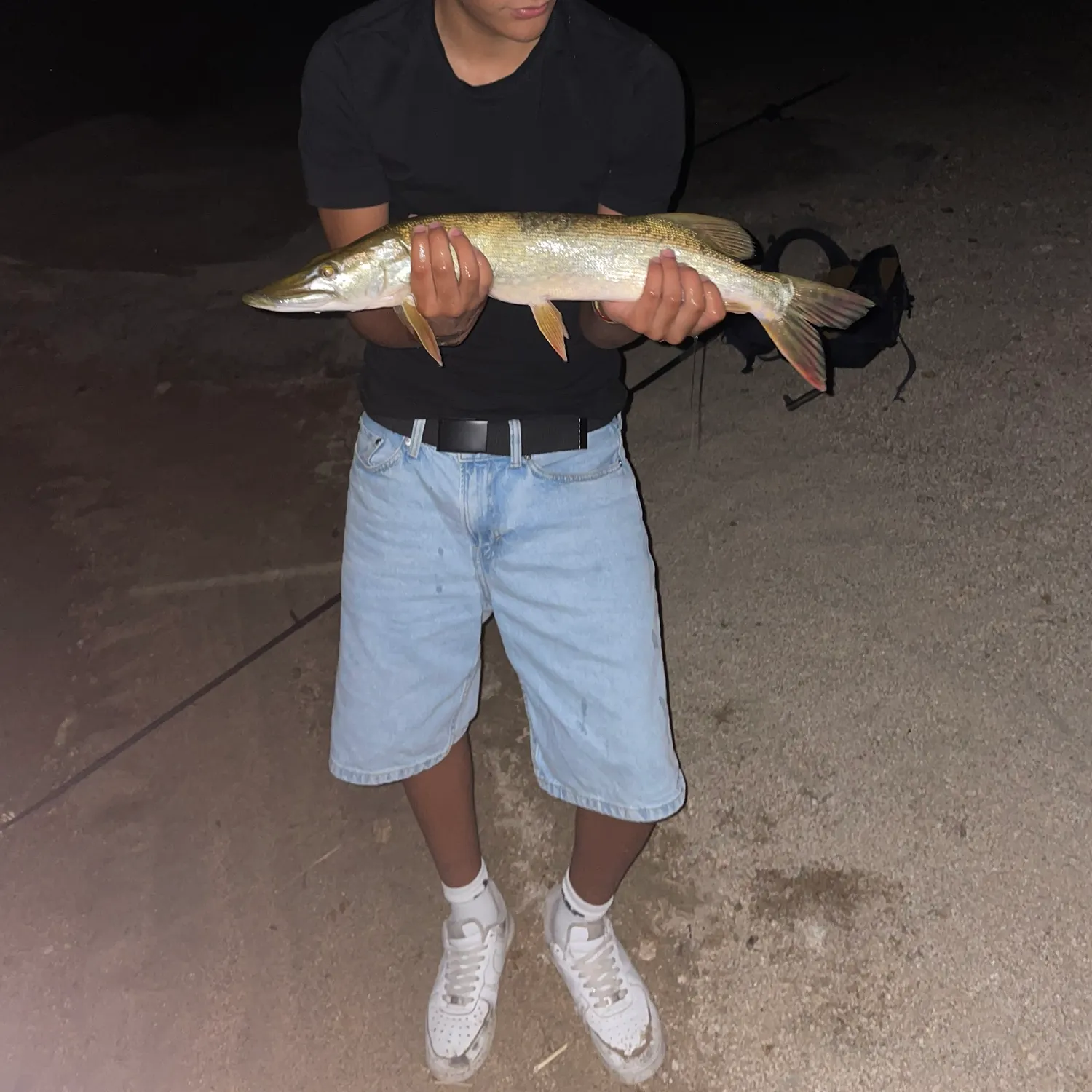 Northern pike caught on Fishbrain