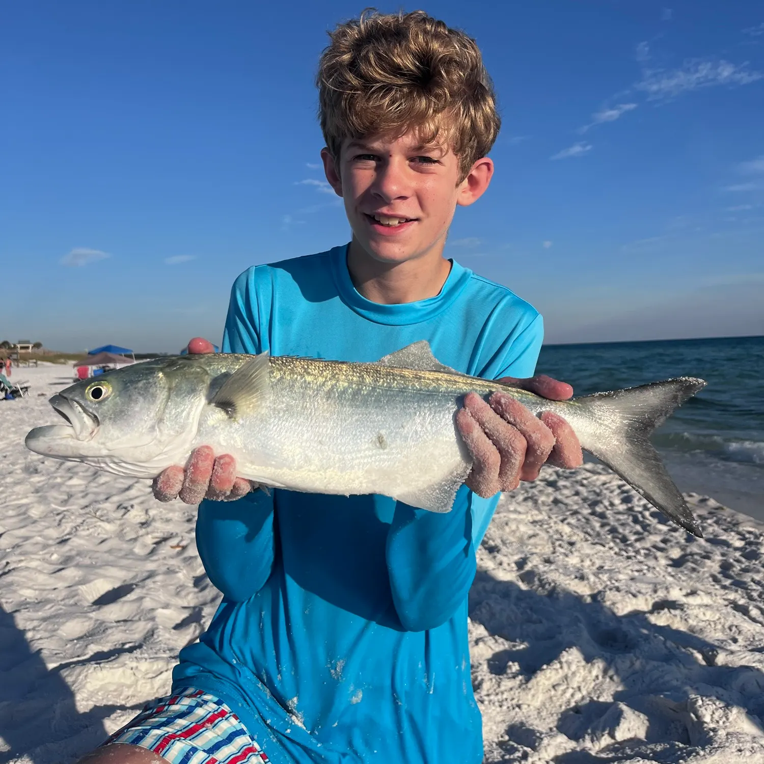 The most recent Bluefish catches on Fishbrain