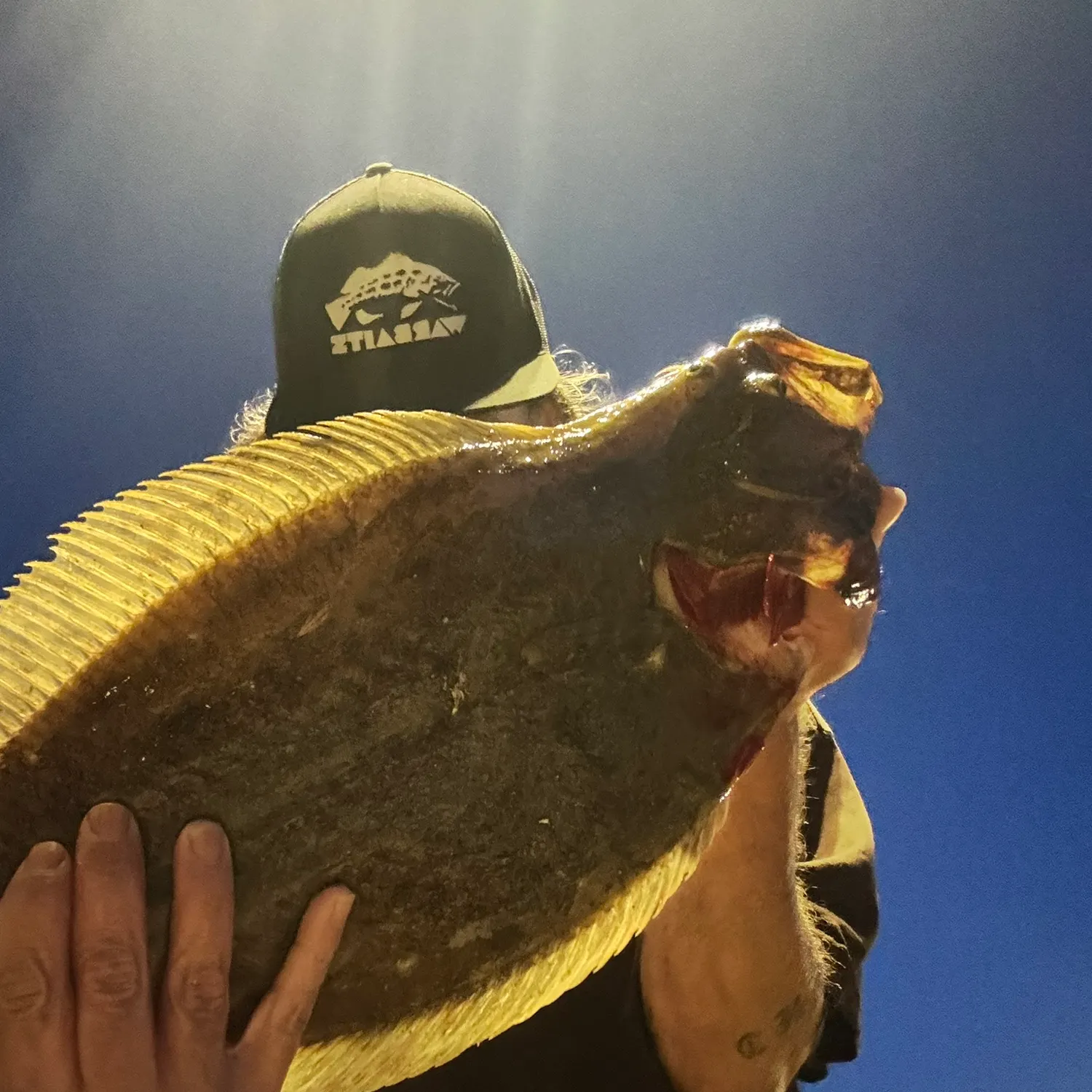 The most recent California halibut catches on Fishbrain