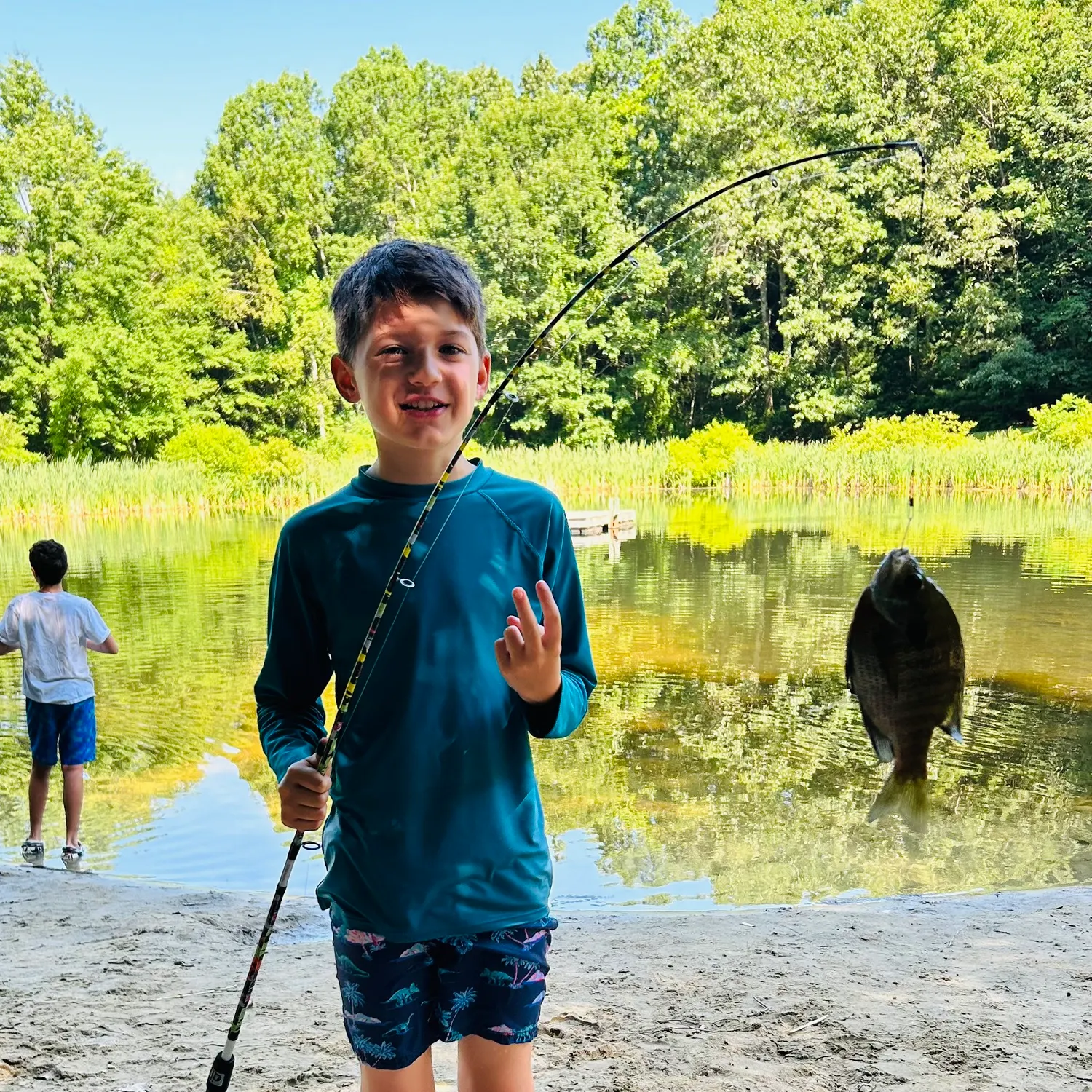 The most recent Pumpkinseed catches on Fishbrain