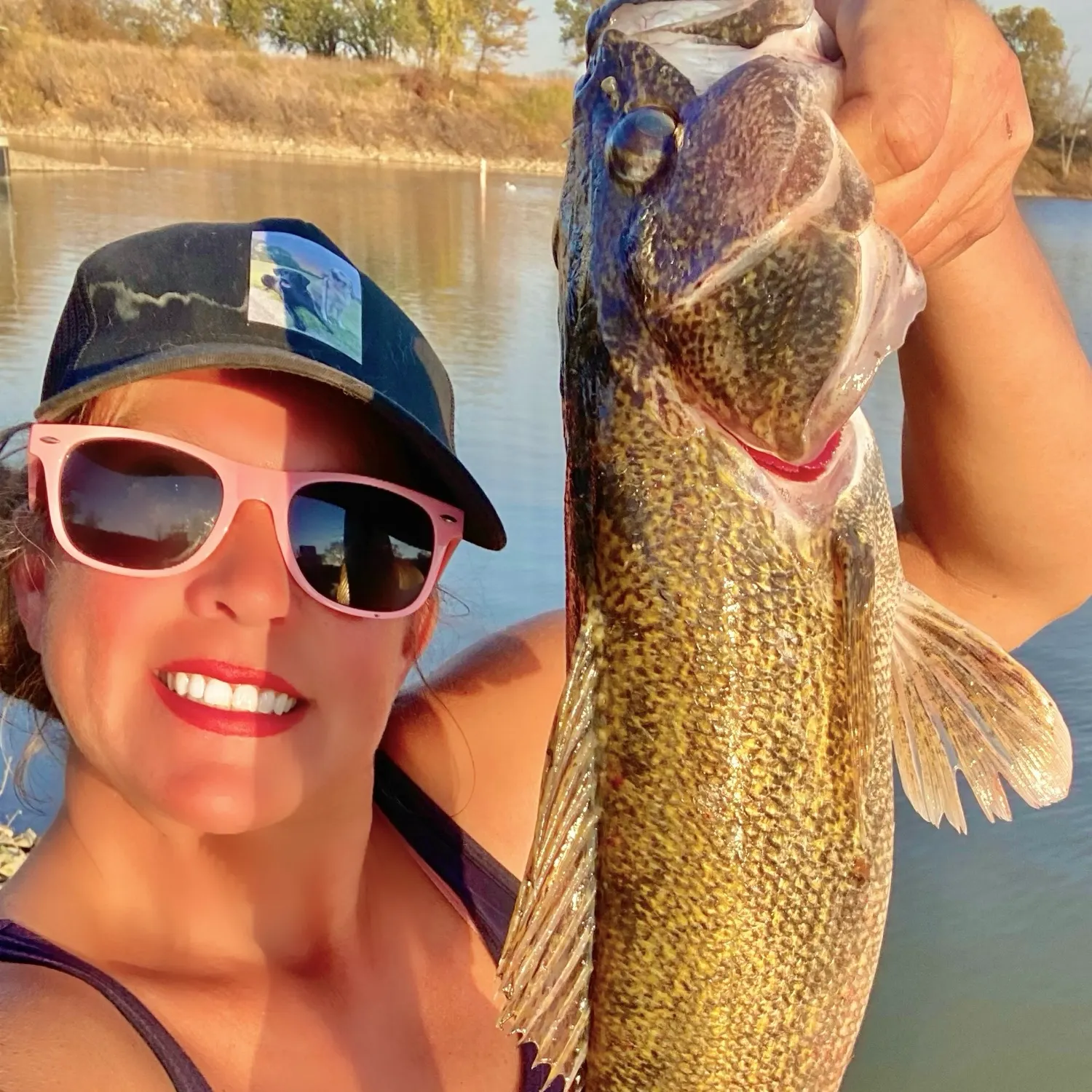 Walleye caught on Fishbrain