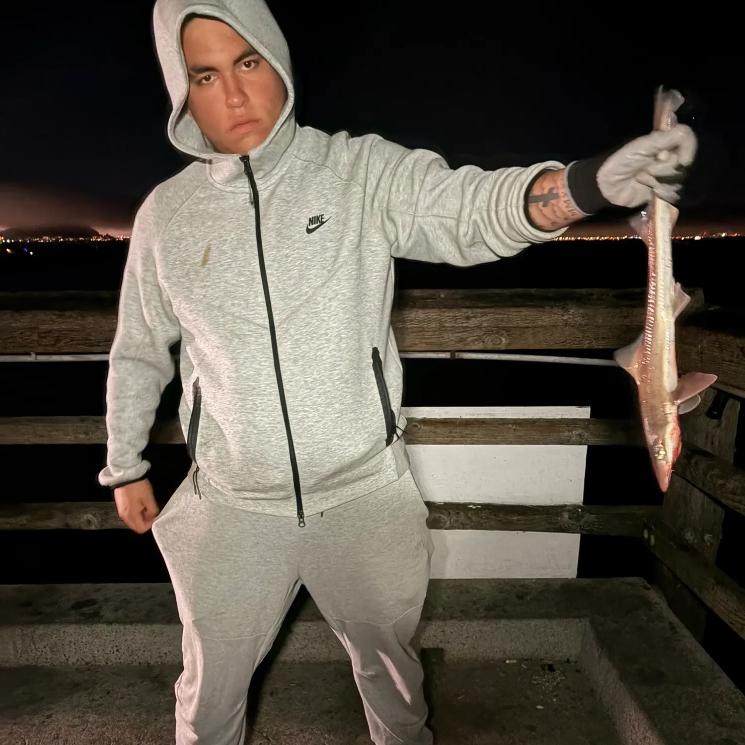 Grey smooth-hound caught on Fishbrain