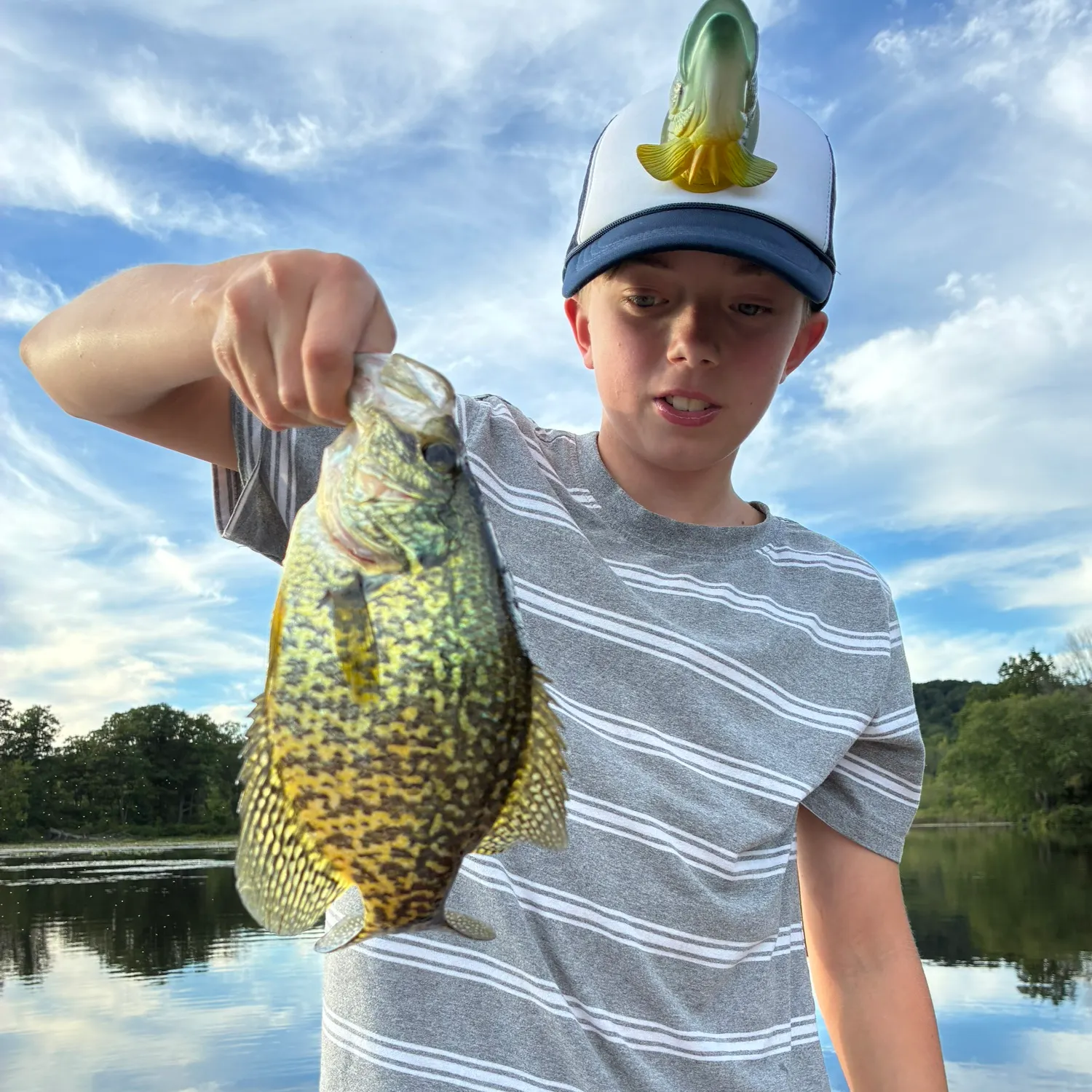 Black crappie caught on Fishbrain