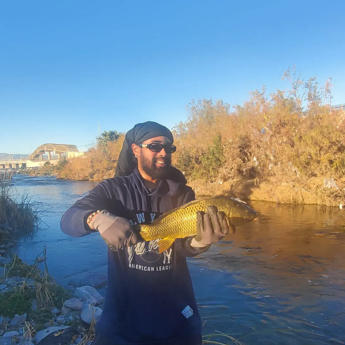 The most recent Common carp catches on Fishbrain