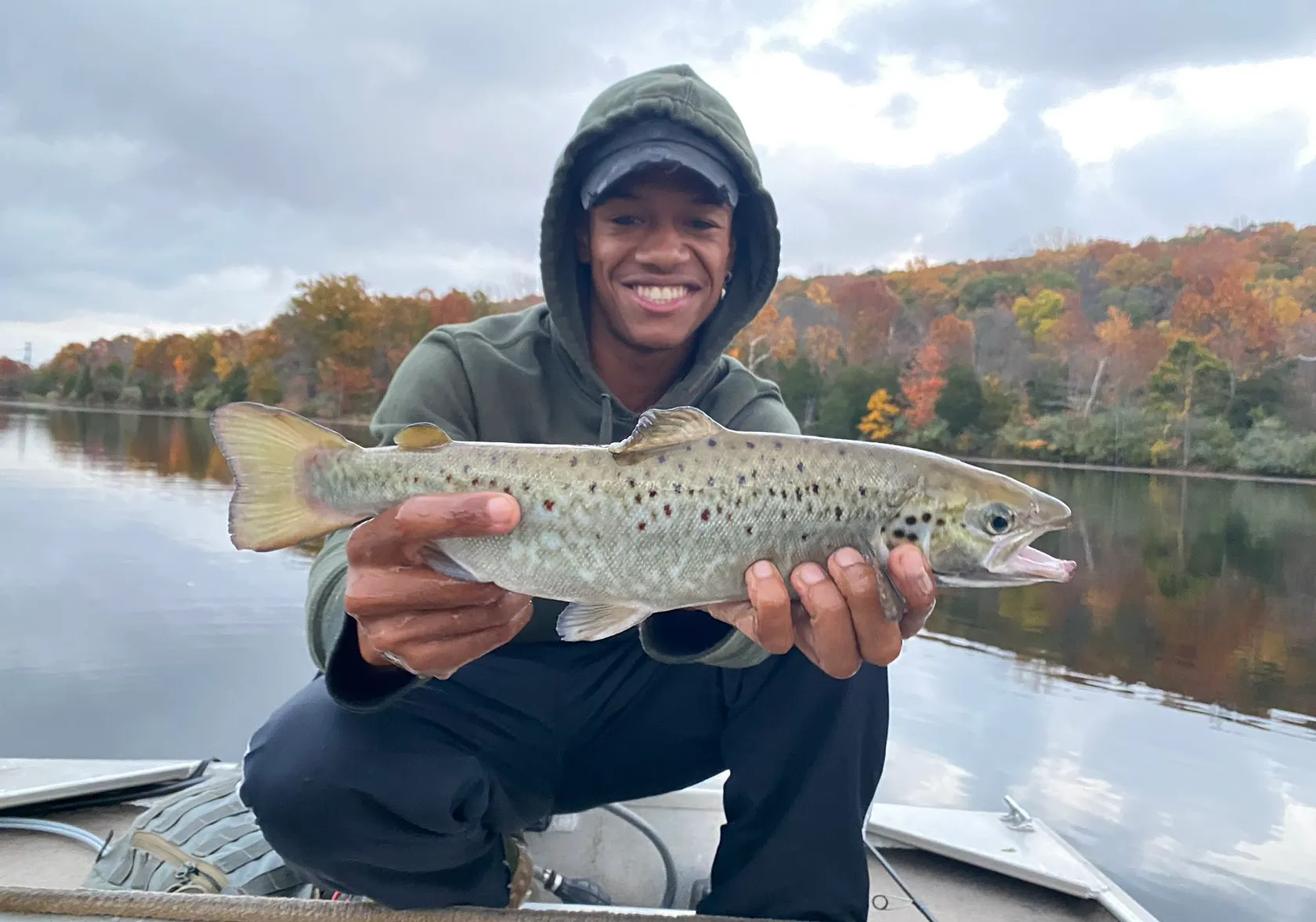 Landlocked atlantic salmon