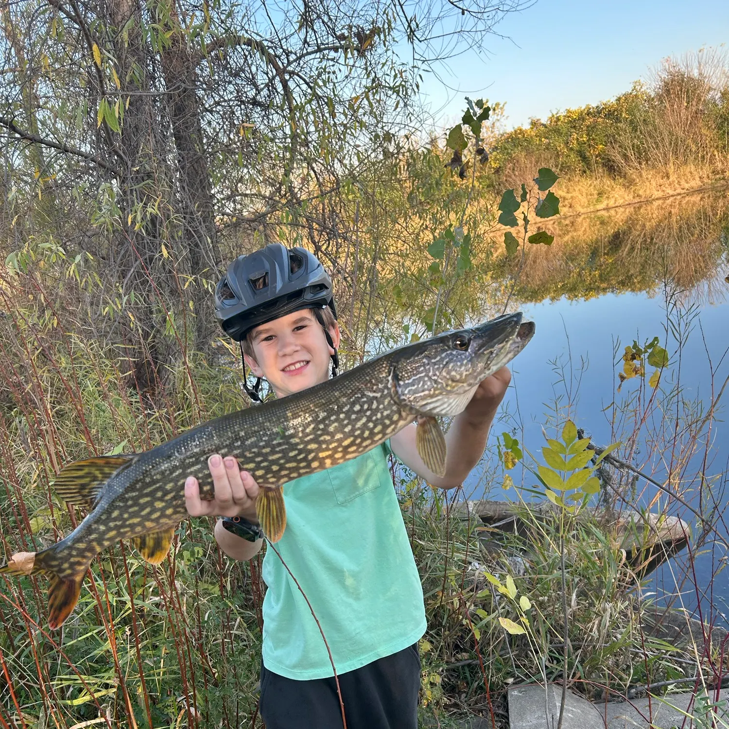 Northern pike caught on Fishbrain