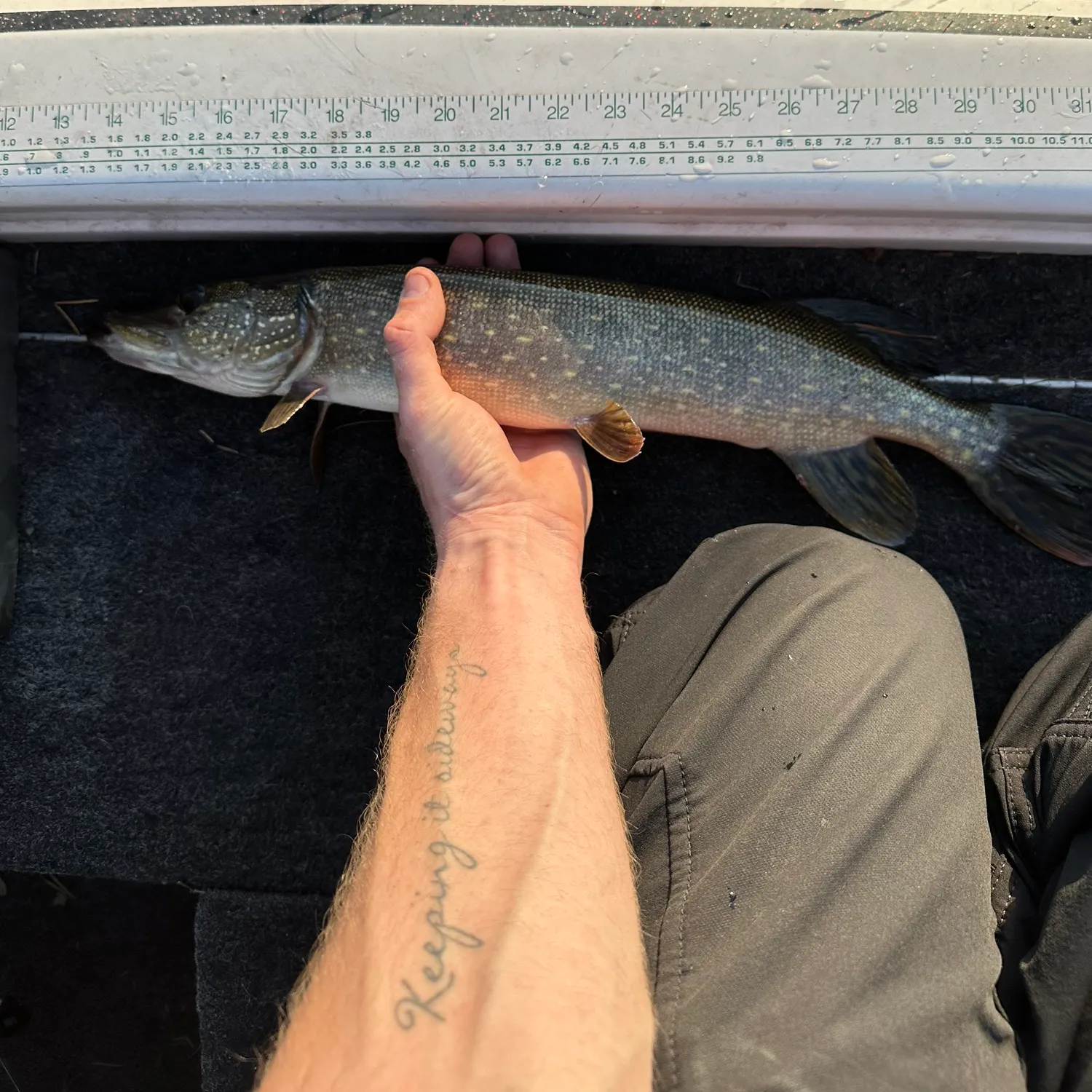 recently logged catches