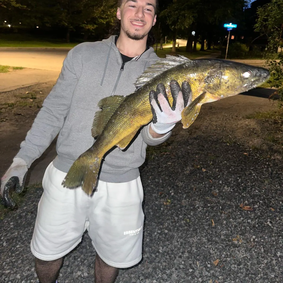 Walleye caught on Fishbrain