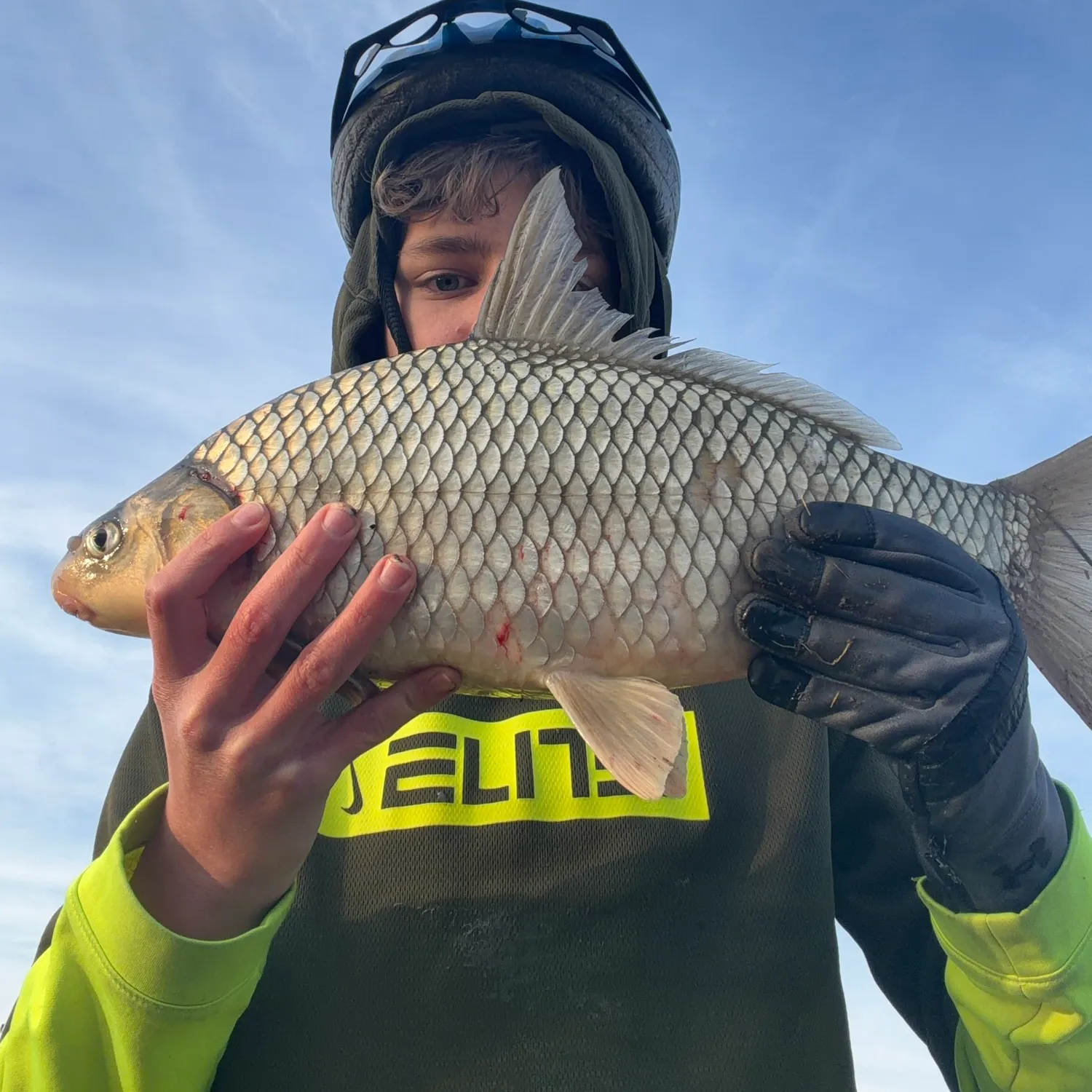 The most recent River carpsucker catches on Fishbrain