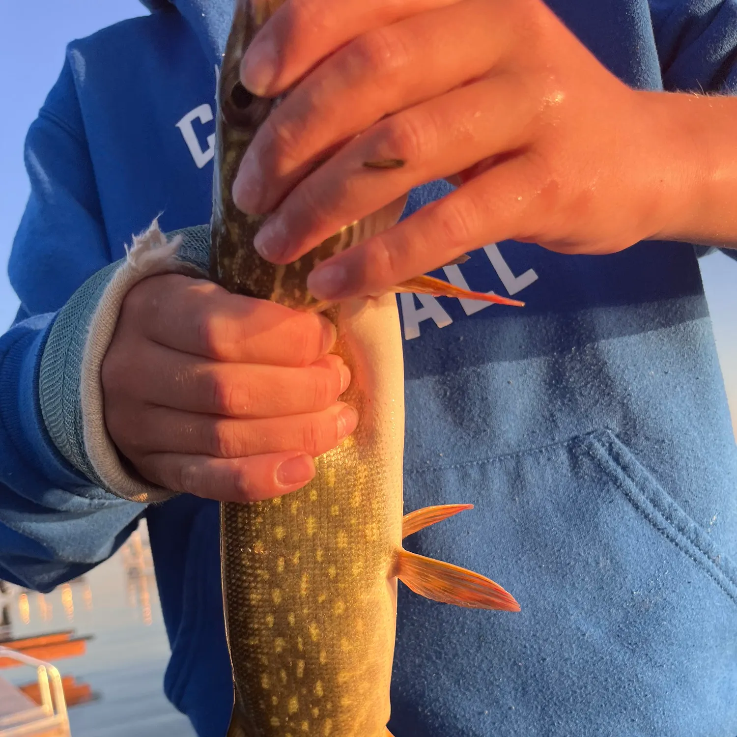 Fish caught on Fishbrain