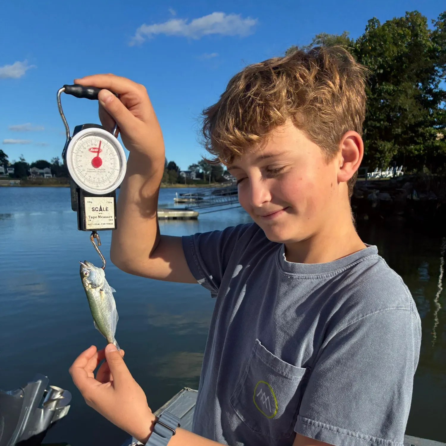 Bluefish caught on Fishbrain