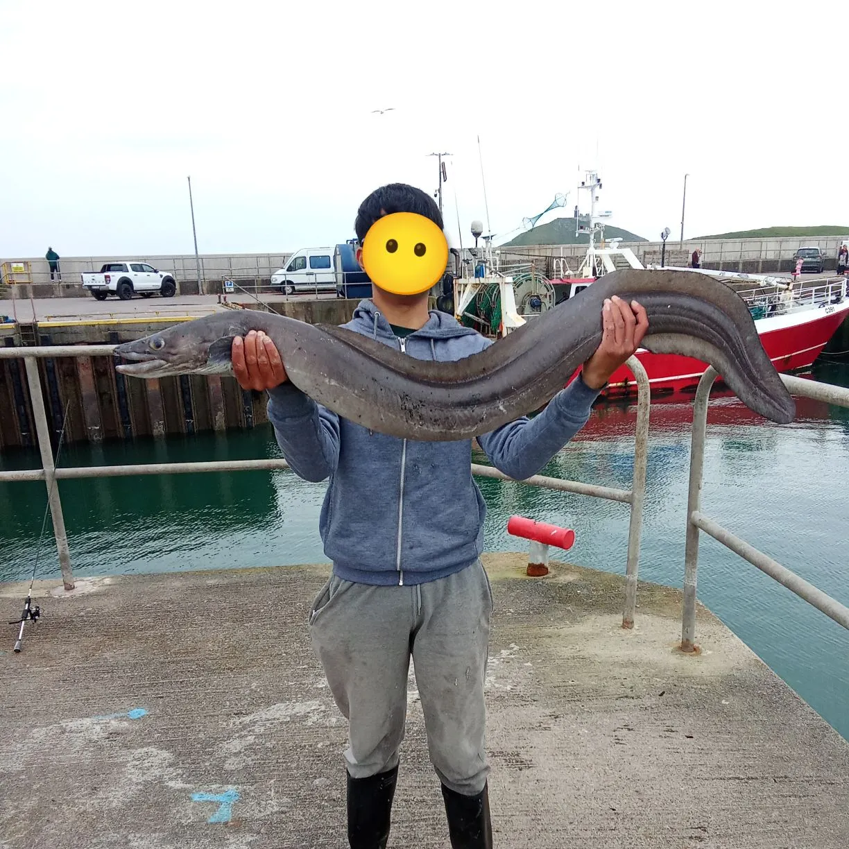 The most recent European conger catches on Fishbrain