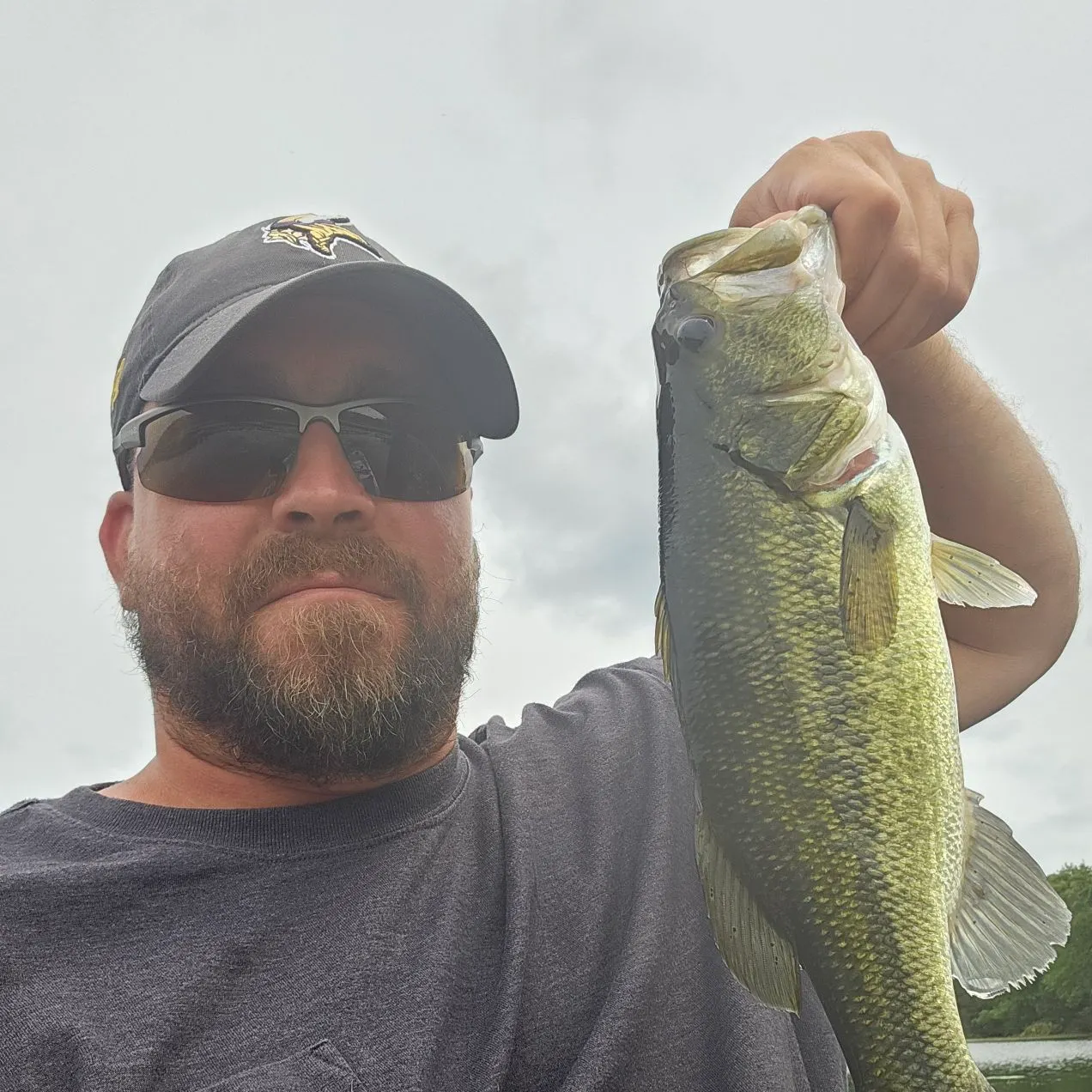Largemouth bass caught on Fishbrain