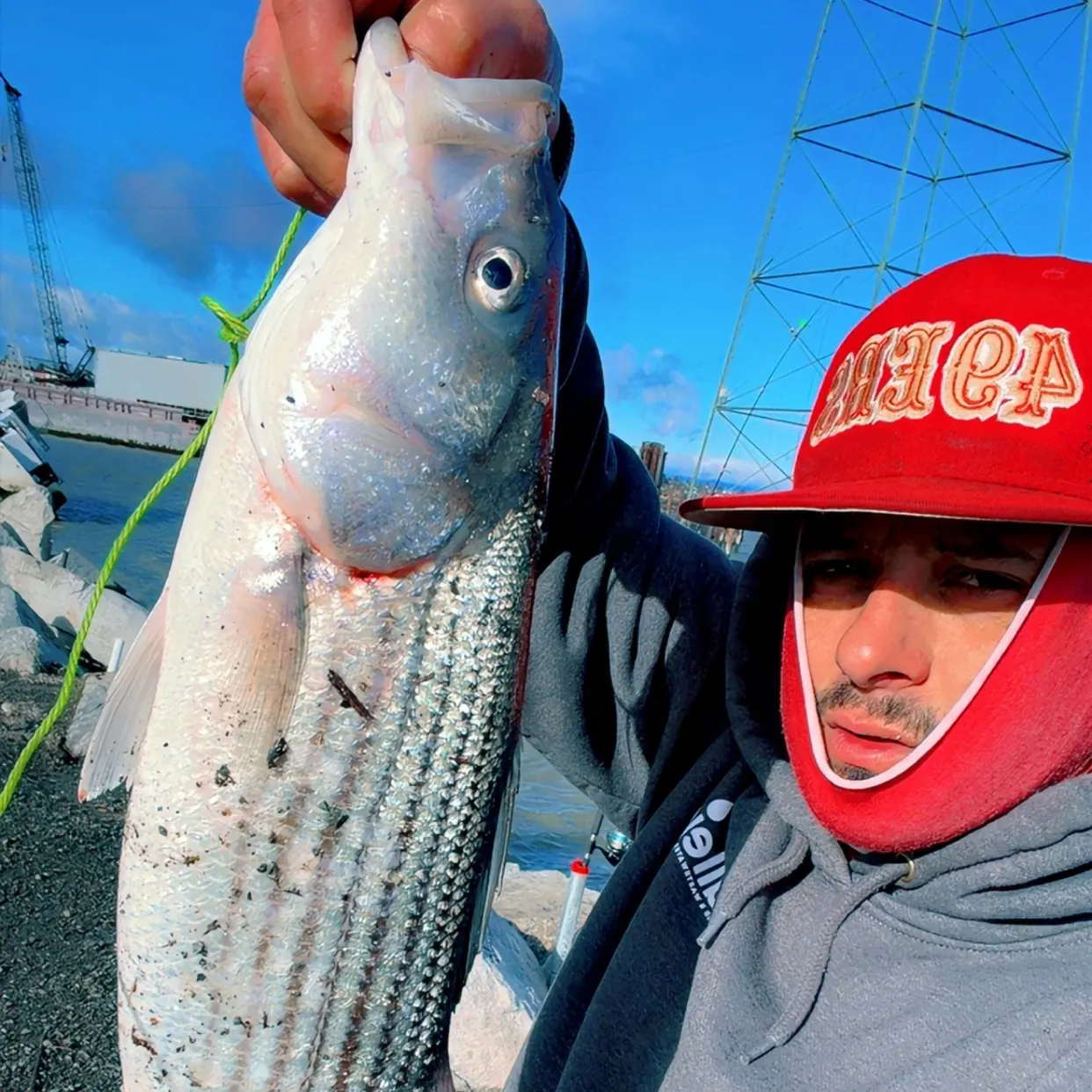 The most recent Striped bass catches on Fishbrain