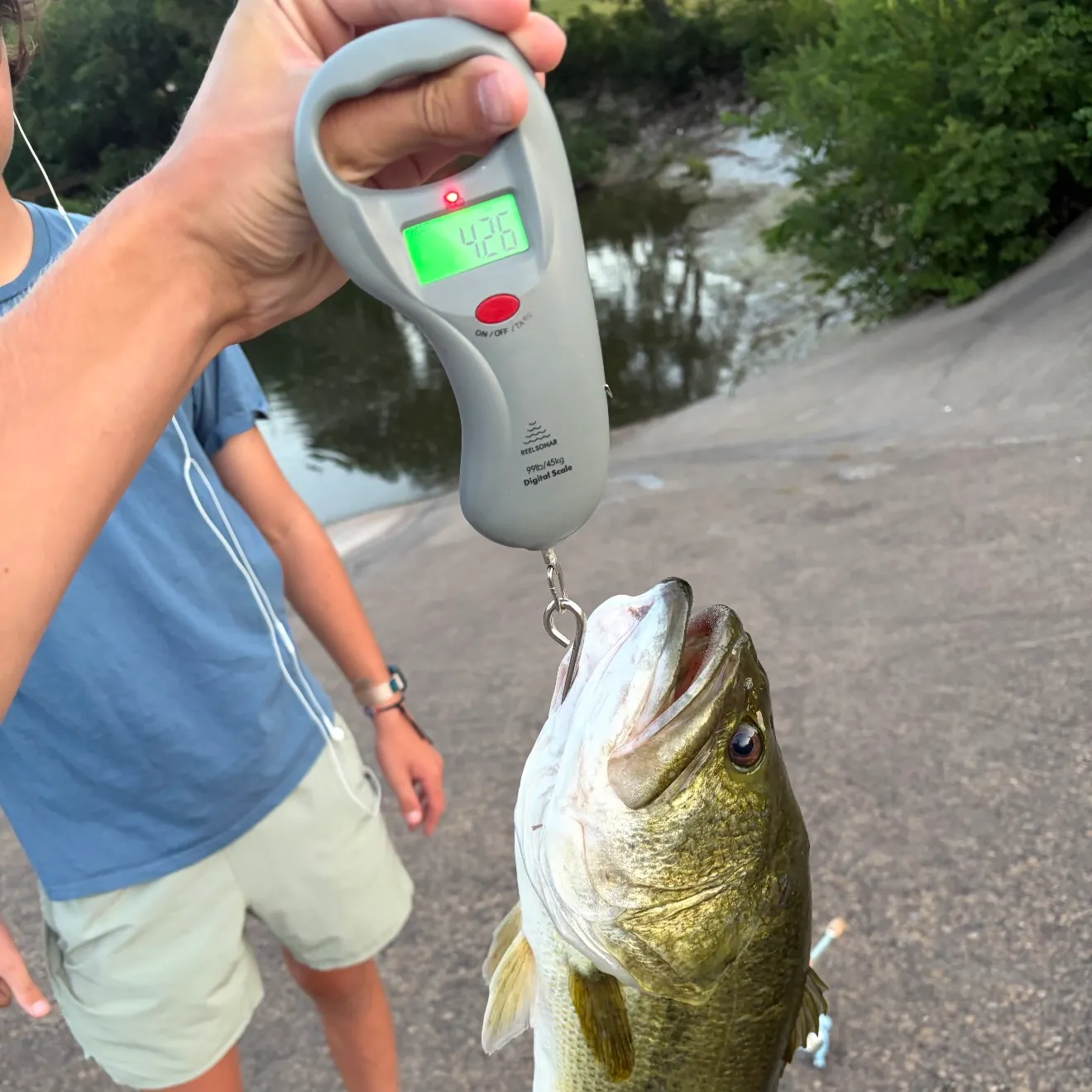 Largemouth bass caught on Fishbrain