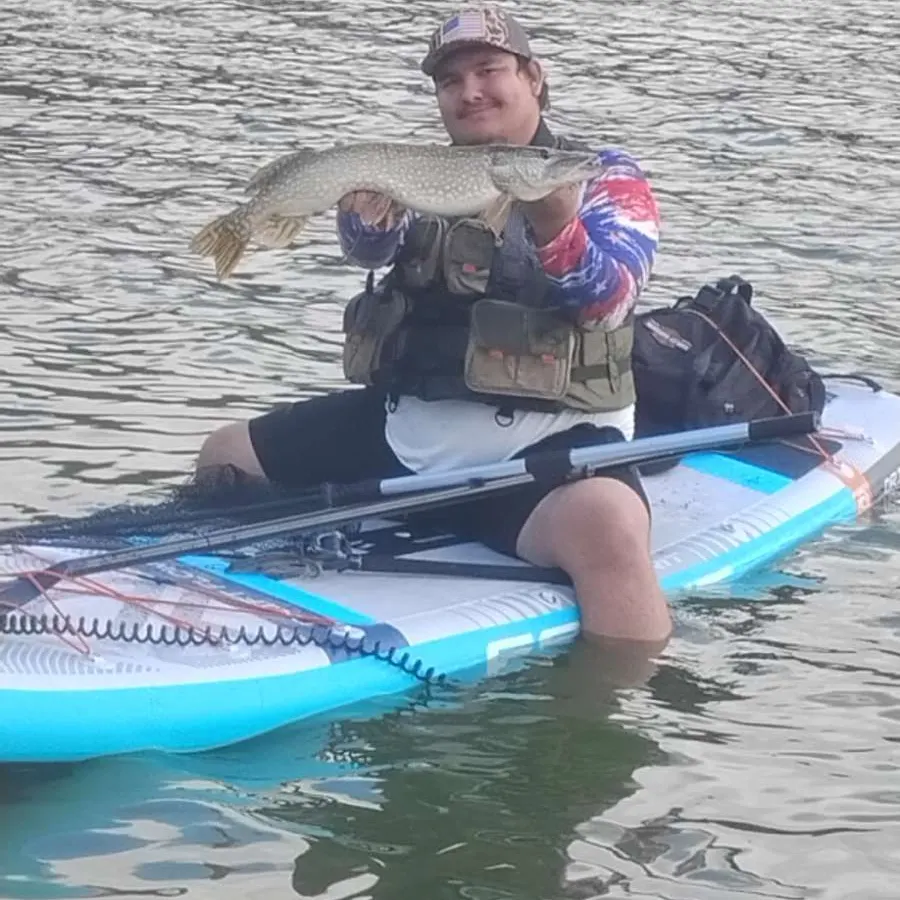 Northern pike caught on Fishbrain