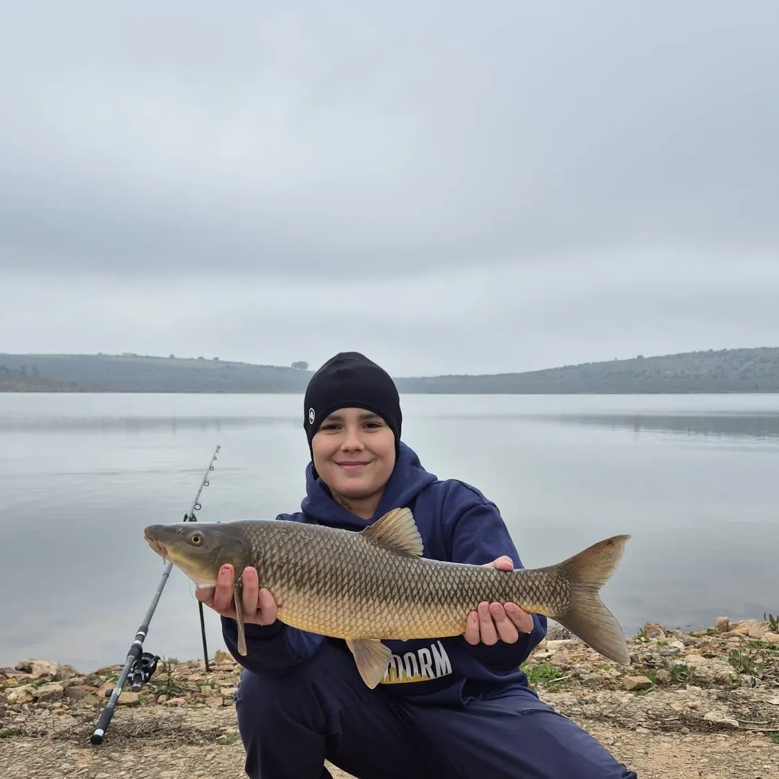 The most recent Andalusian barbel catches on Fishbrain