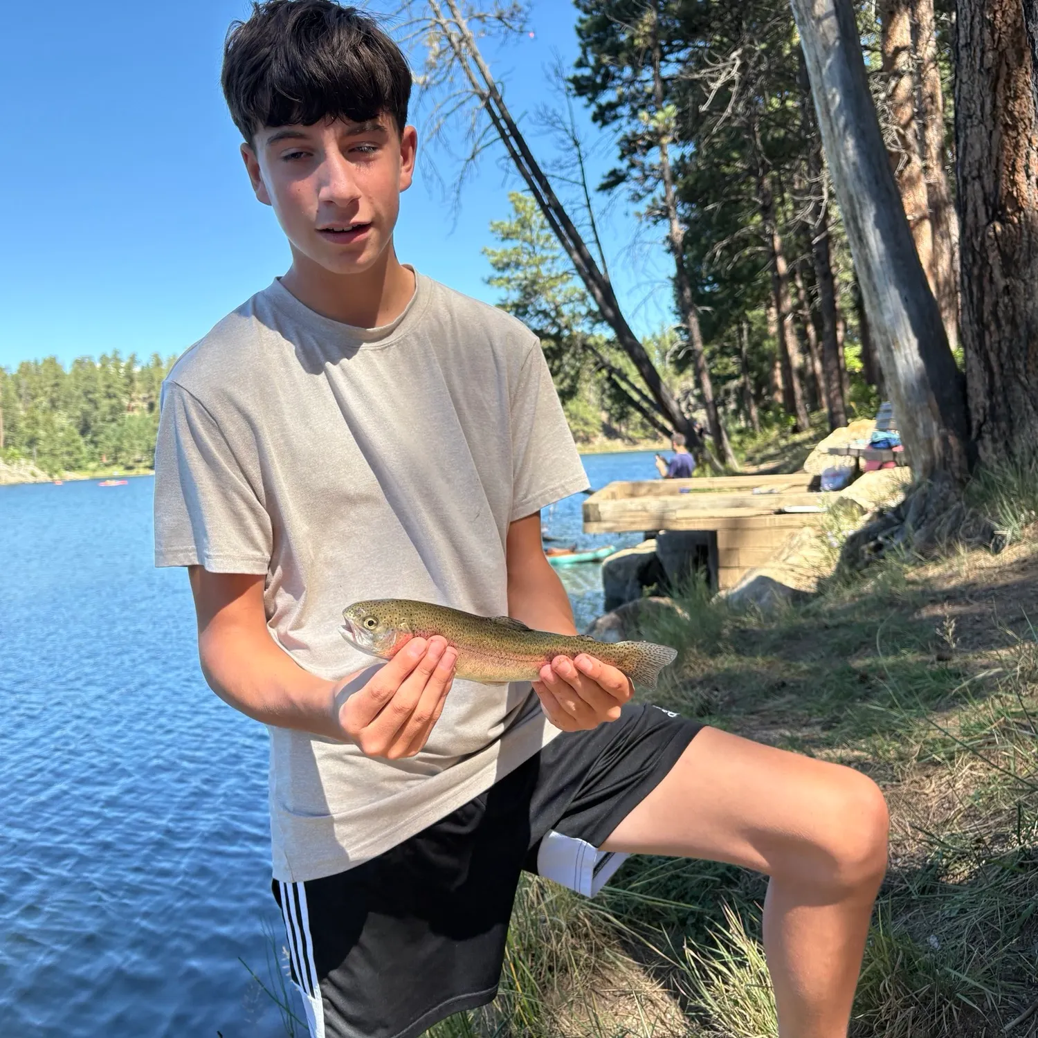 Rainbow trout caught on Fishbrain