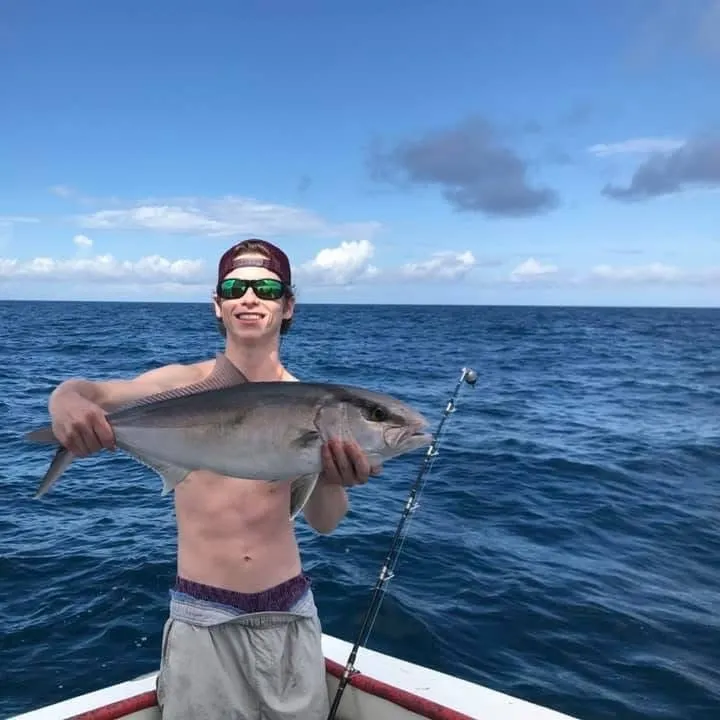 Greater amberjack caught on Fishbrain