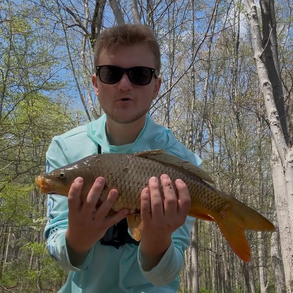 Common carp caught on Fishbrain