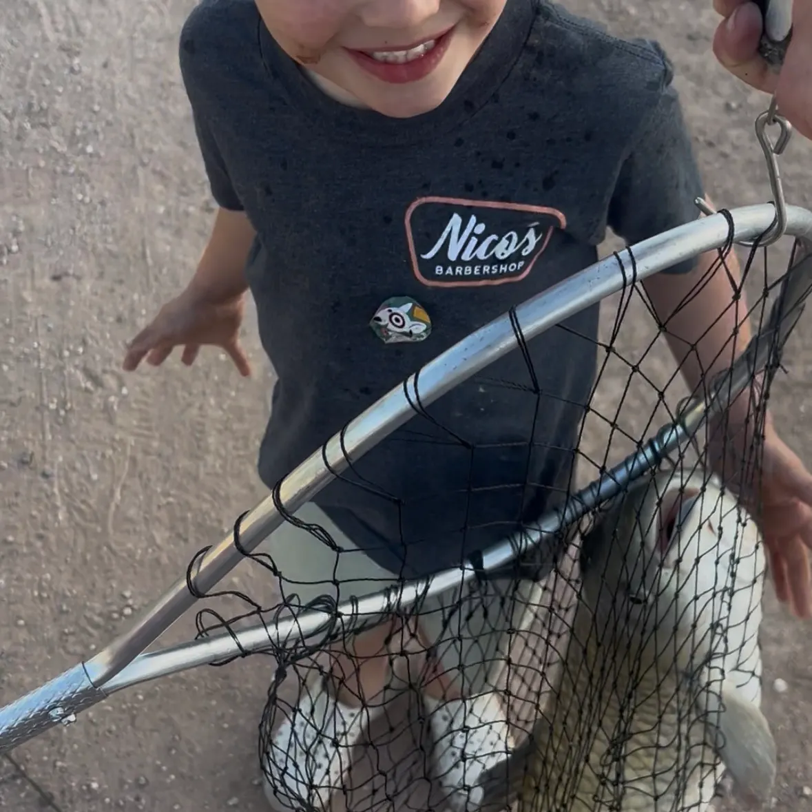 The most recent Grass carp catches on Fishbrain