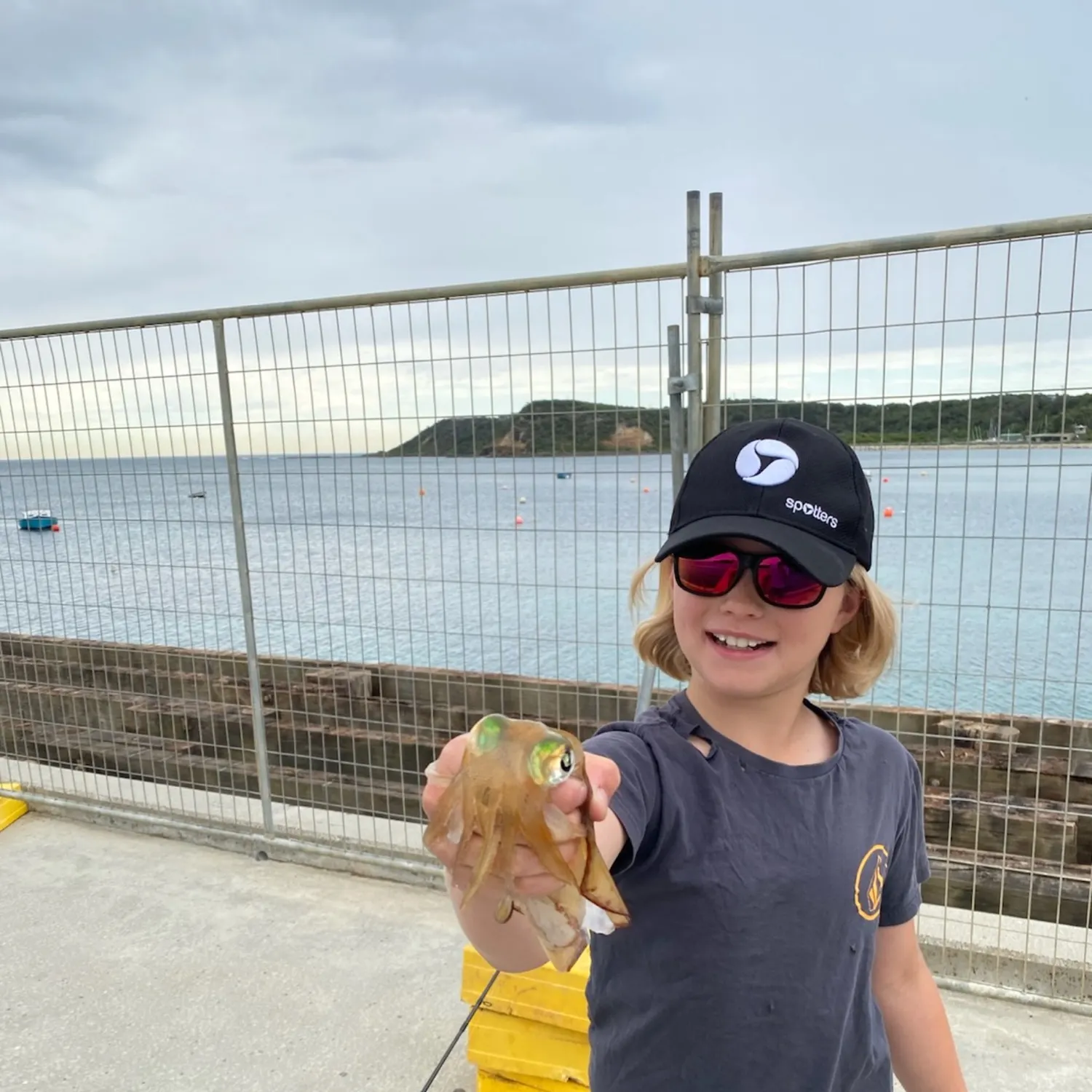 Southern calamari caught on Fishbrain