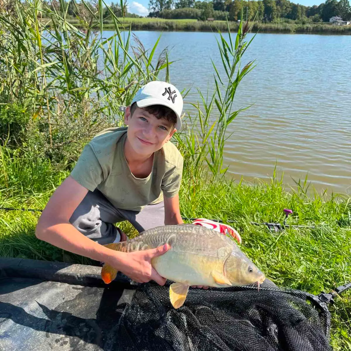 Mirror carp caught on Fishbrain