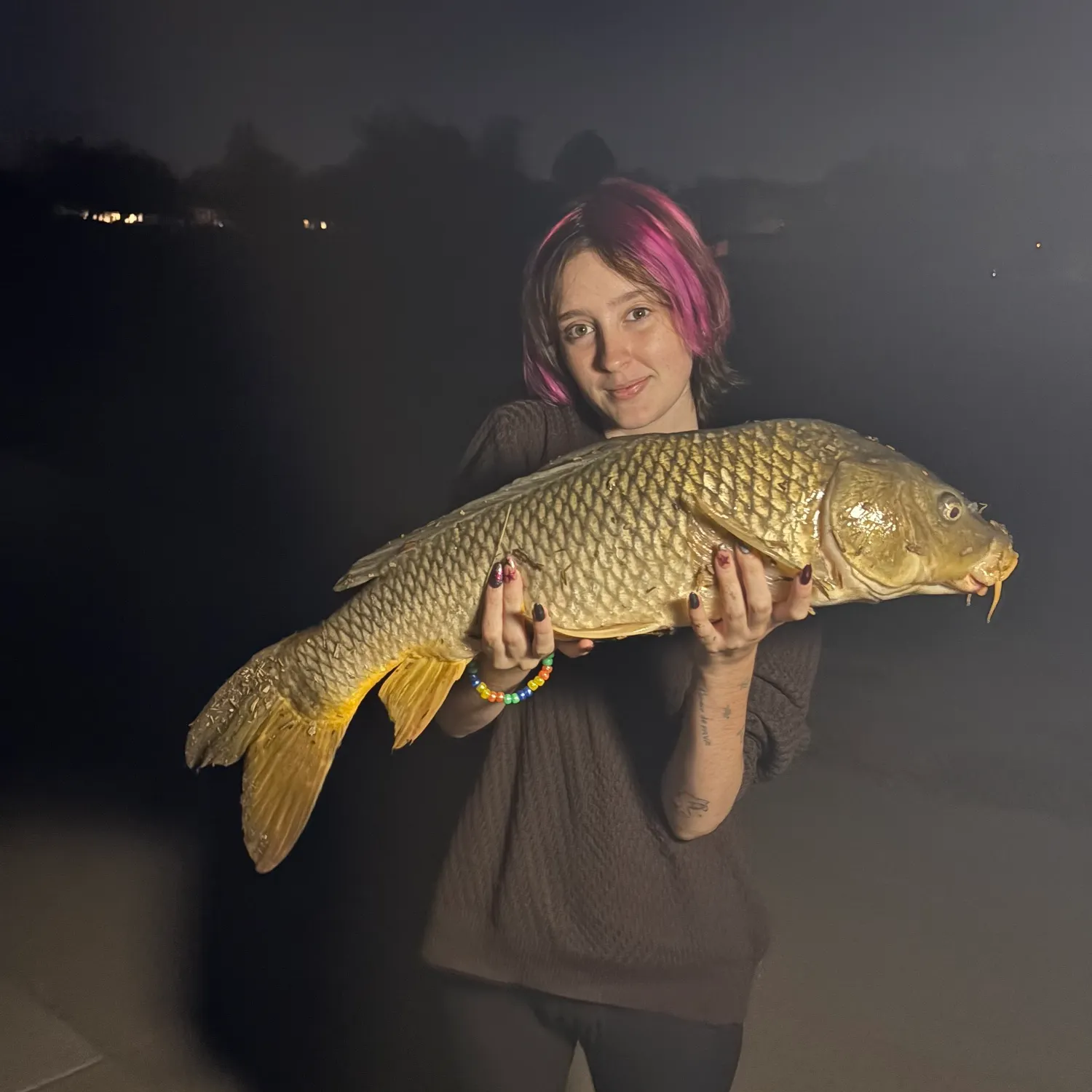 Common carp caught on Fishbrain