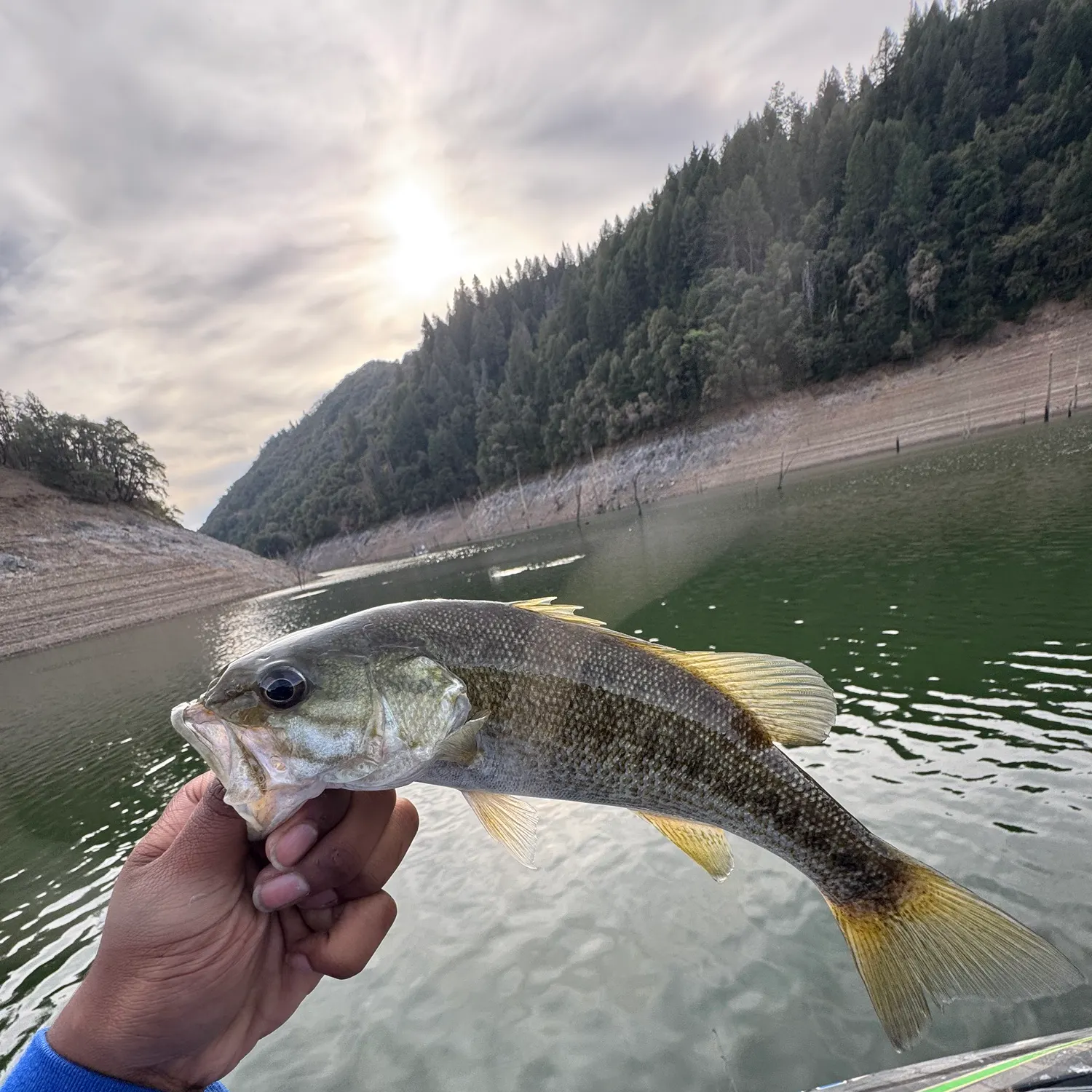 Meanmouth bass caught on Fishbrain