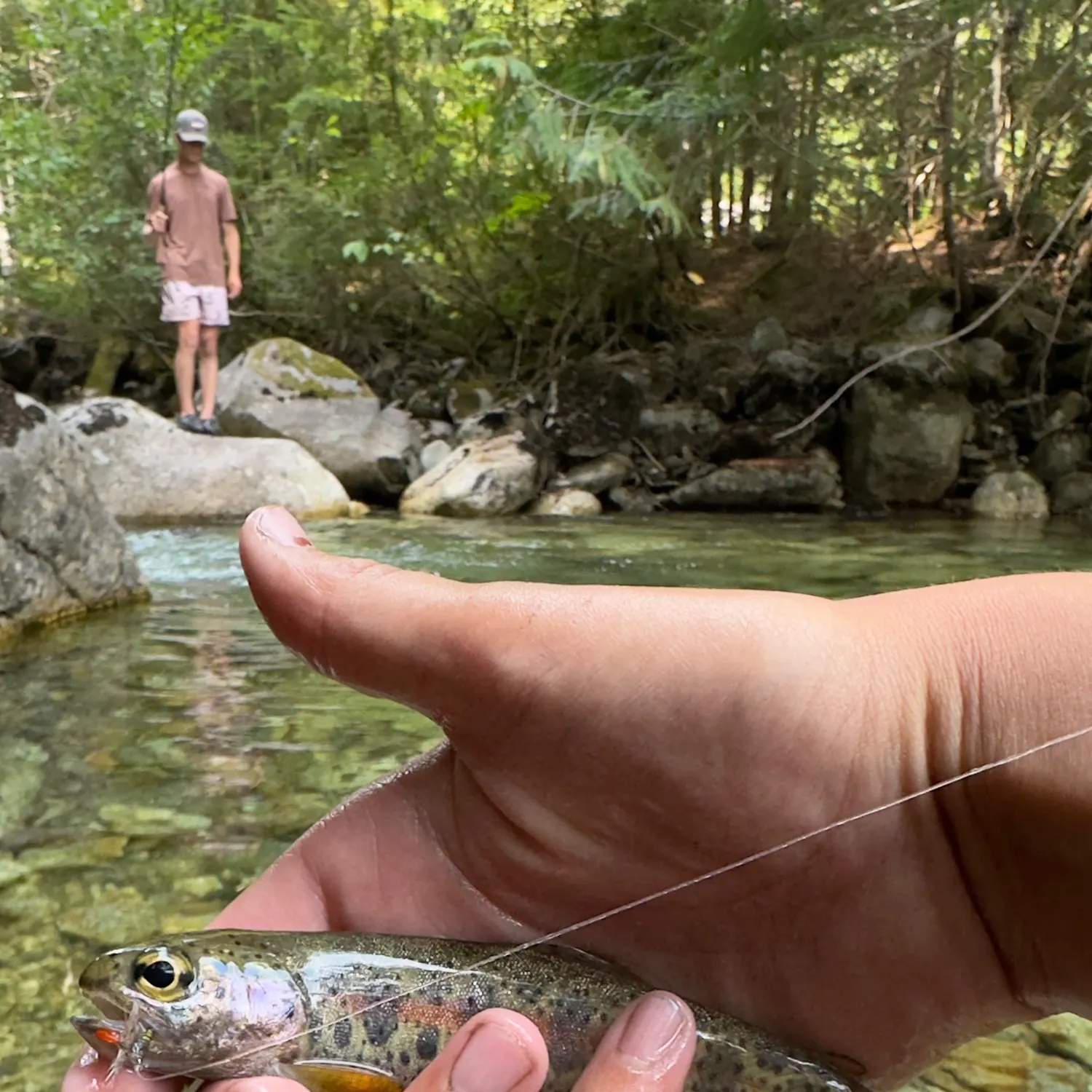 Rainbow trout caught on Fishbrain