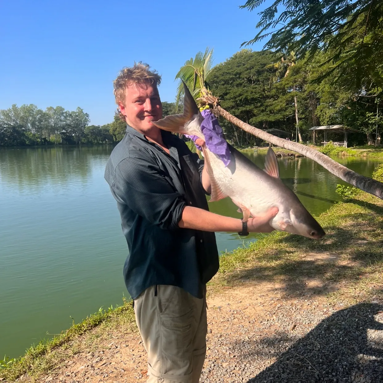 The most recent Mekong giant catfish catches on Fishbrain