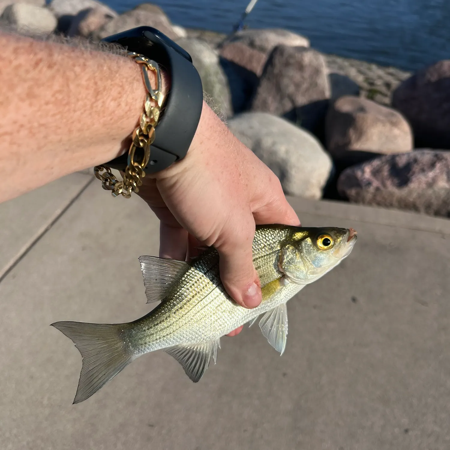 catch