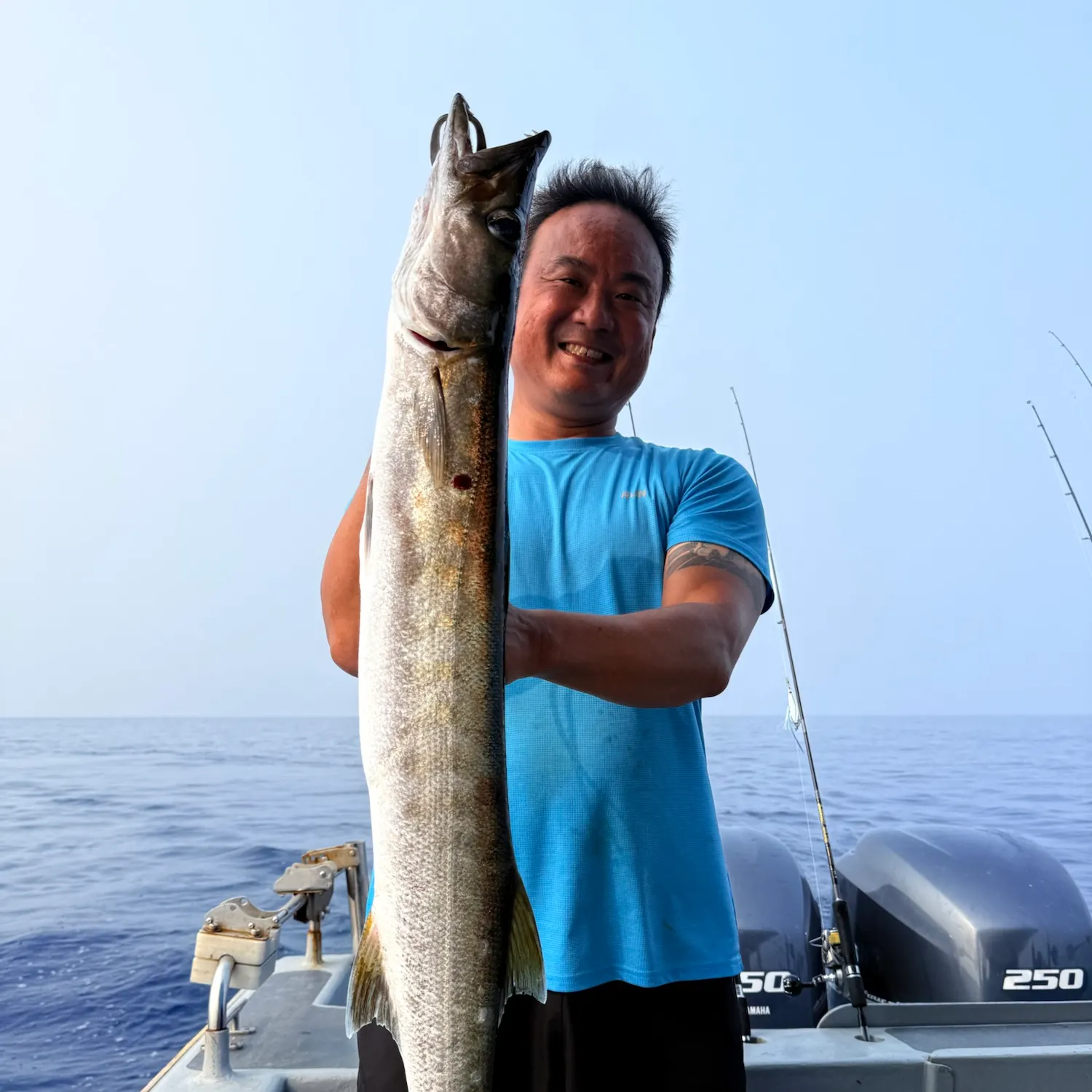 Yellowtail barracuda caught on Fishbrain