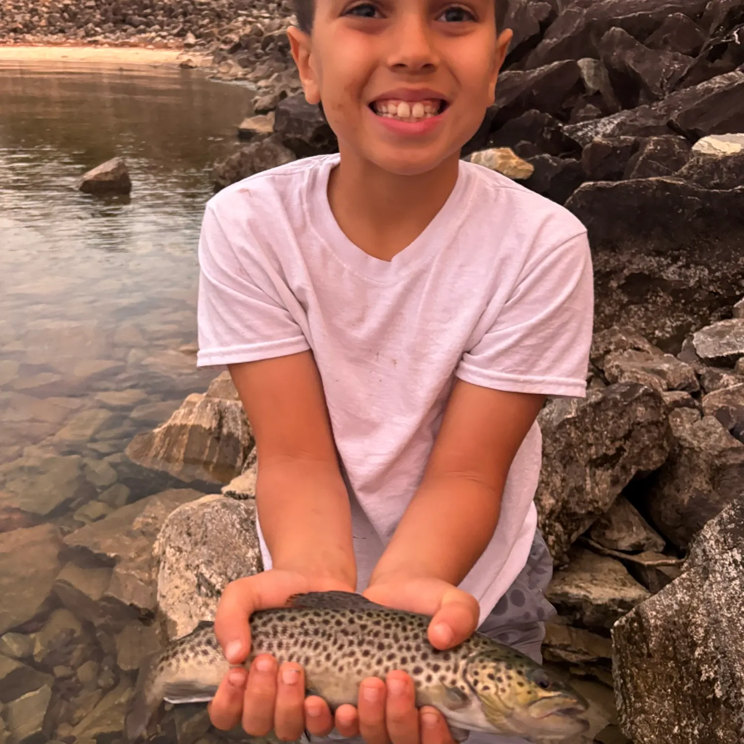 The most recent Brown trout catches on Fishbrain
