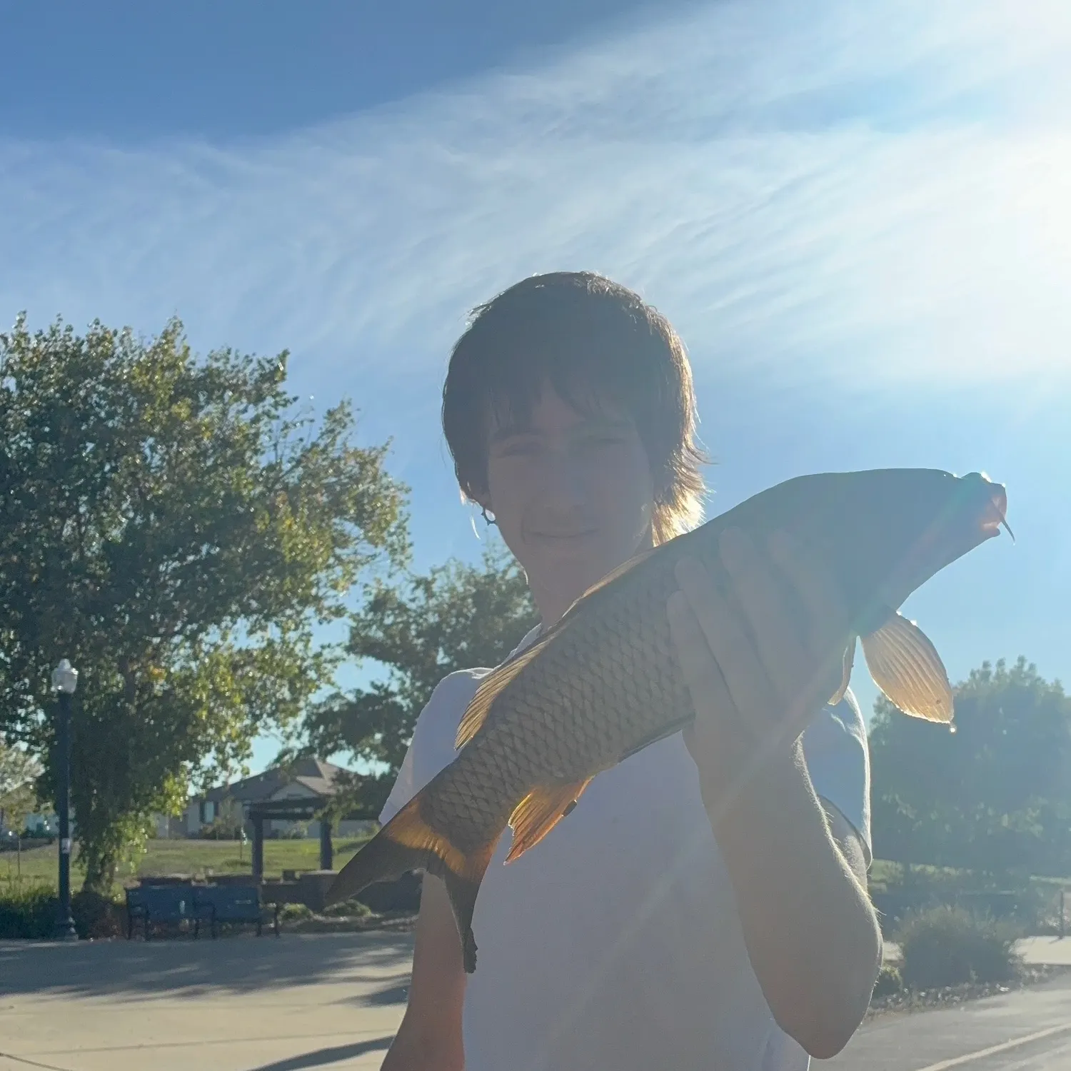 Common carp caught on Fishbrain