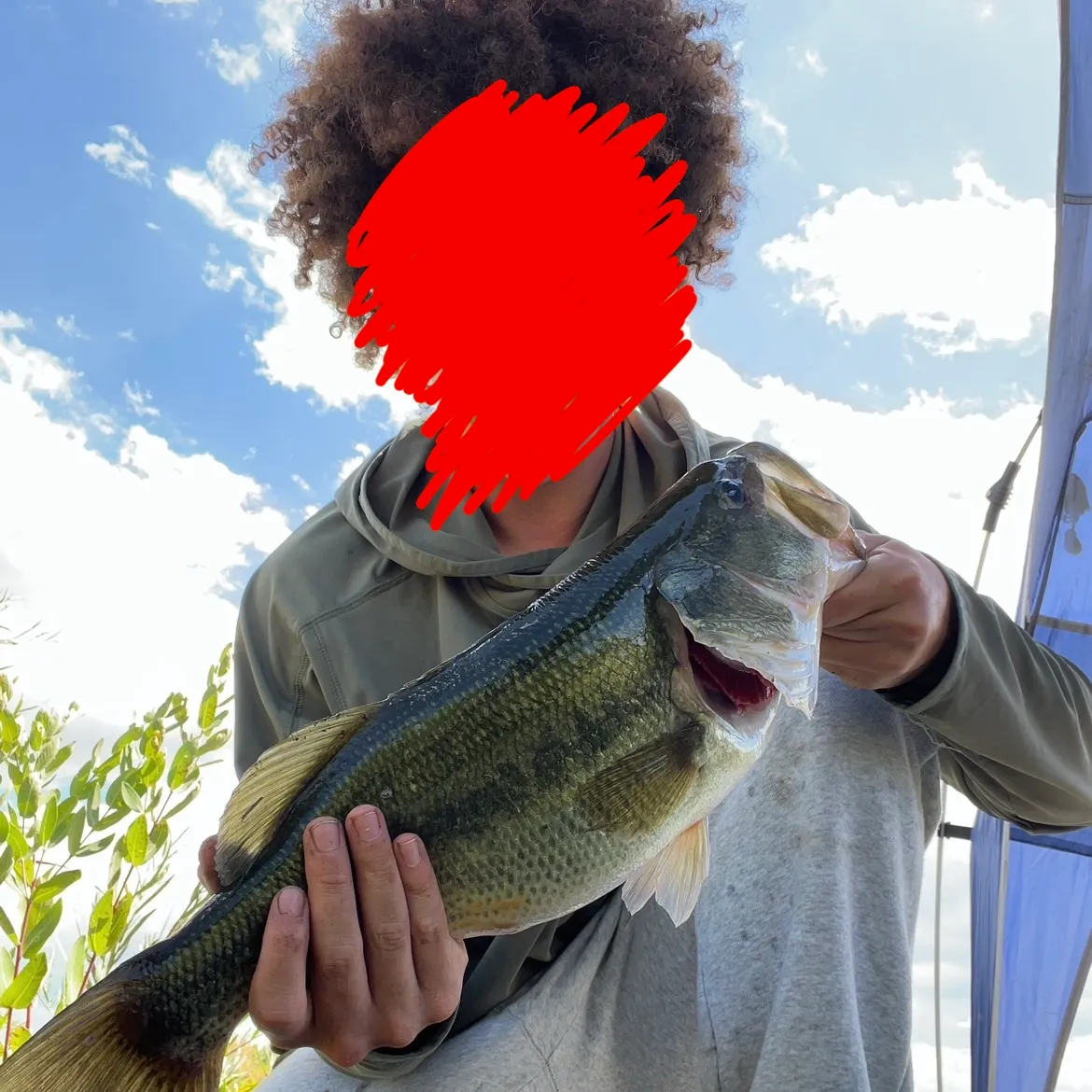 Largemouth bass caught on Fishbrain