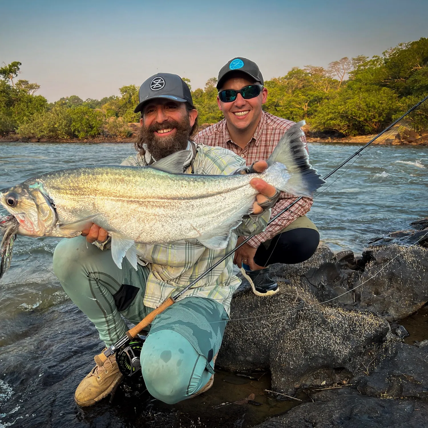 The most recent Vampire fish catches on Fishbrain