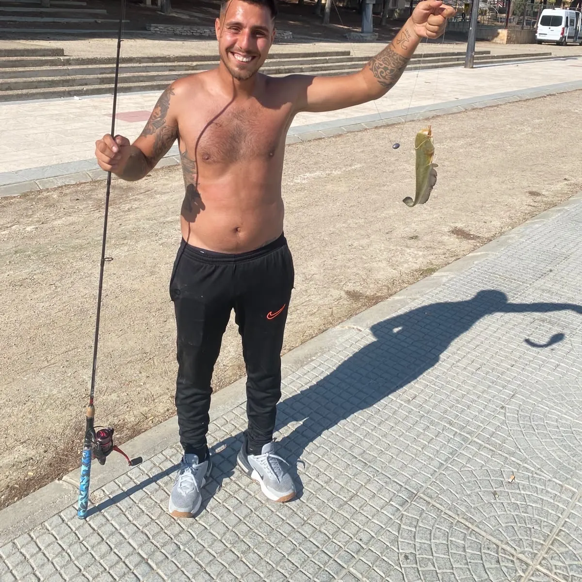 The most recent Amur catfish catches on Fishbrain