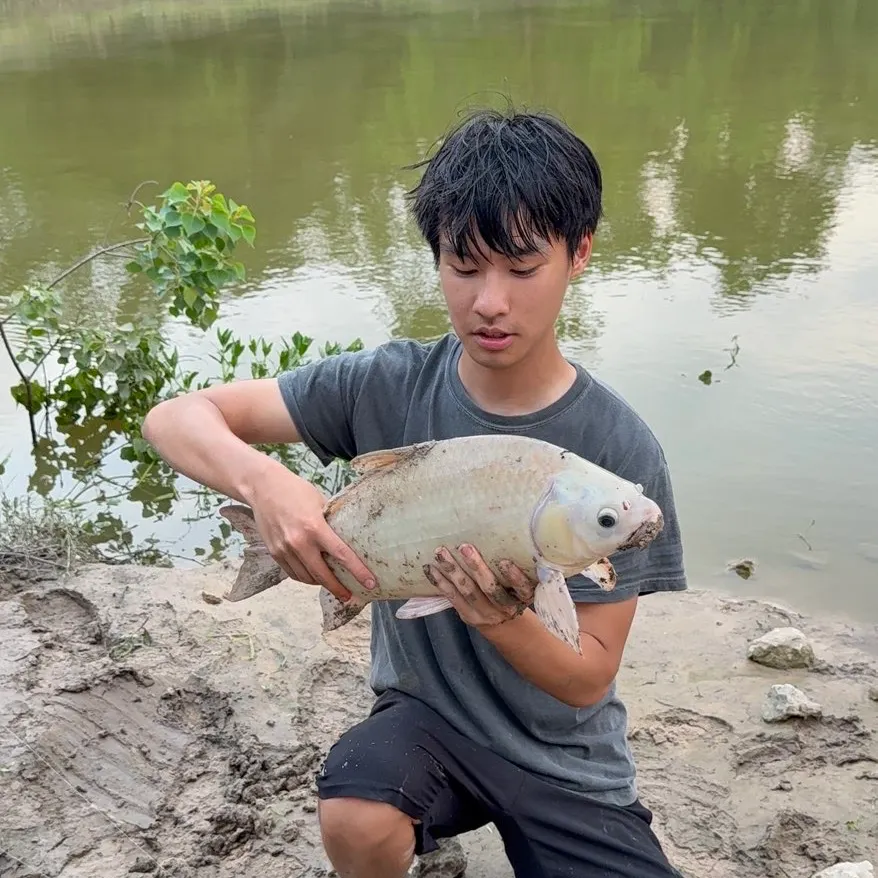 The most recent Bigmouth buffalo catches on Fishbrain