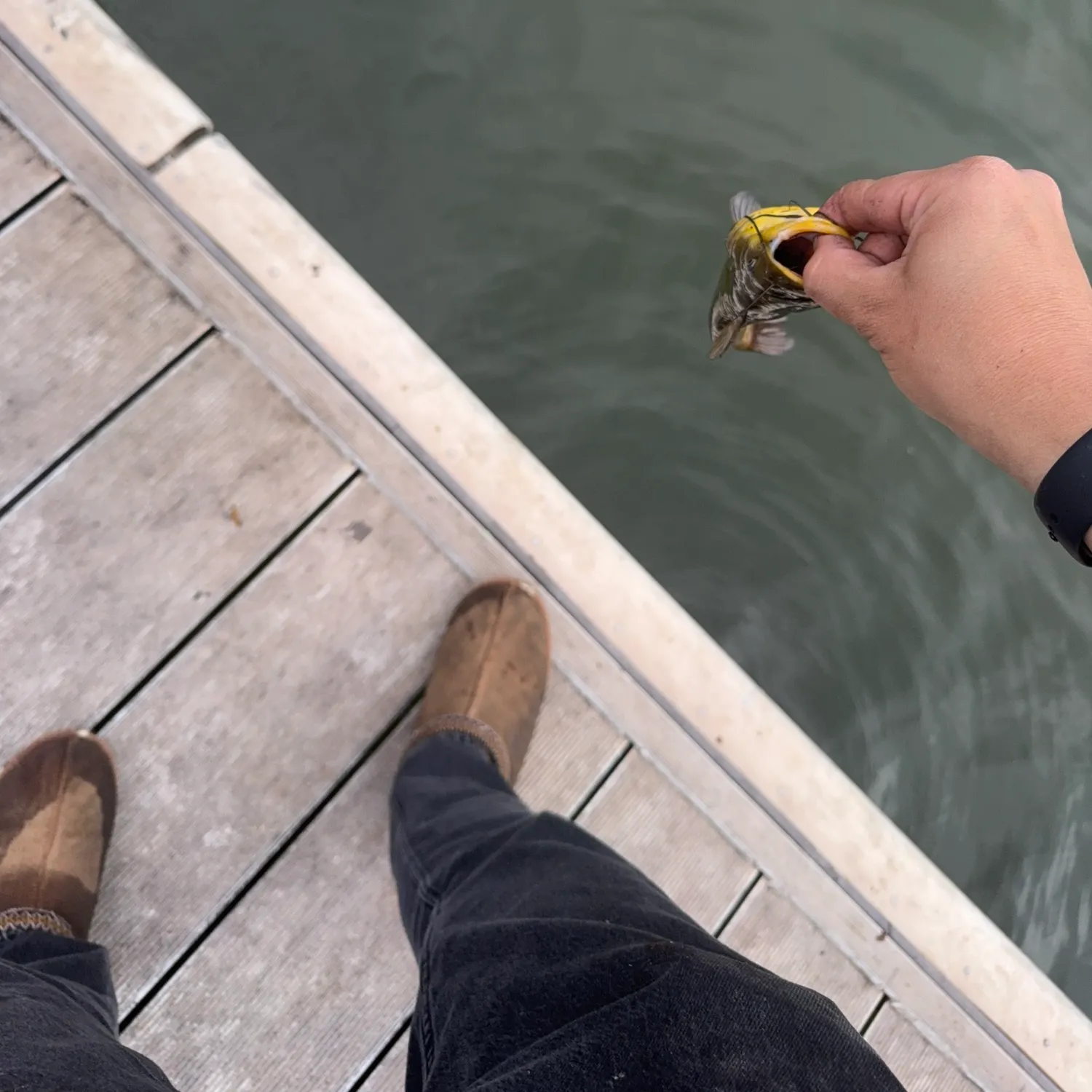 catch