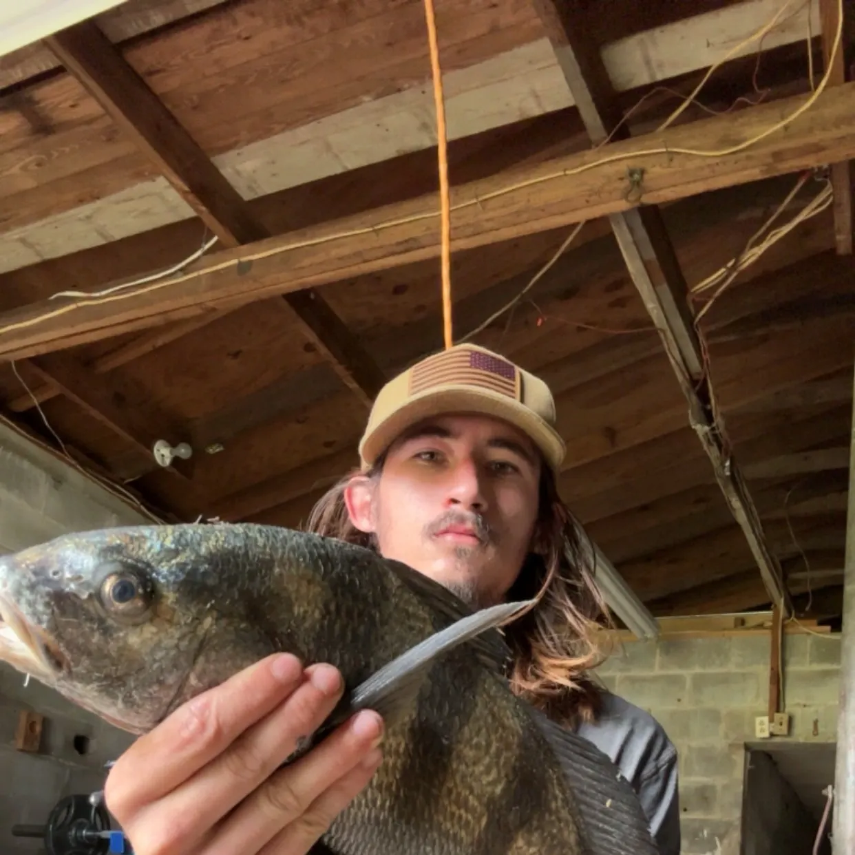 Black drum caught on Fishbrain