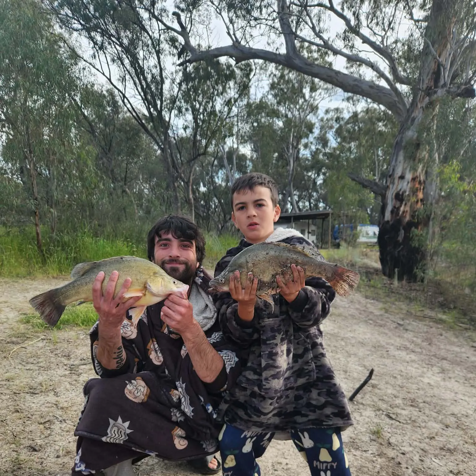 Golden perch caught on Fishbrain