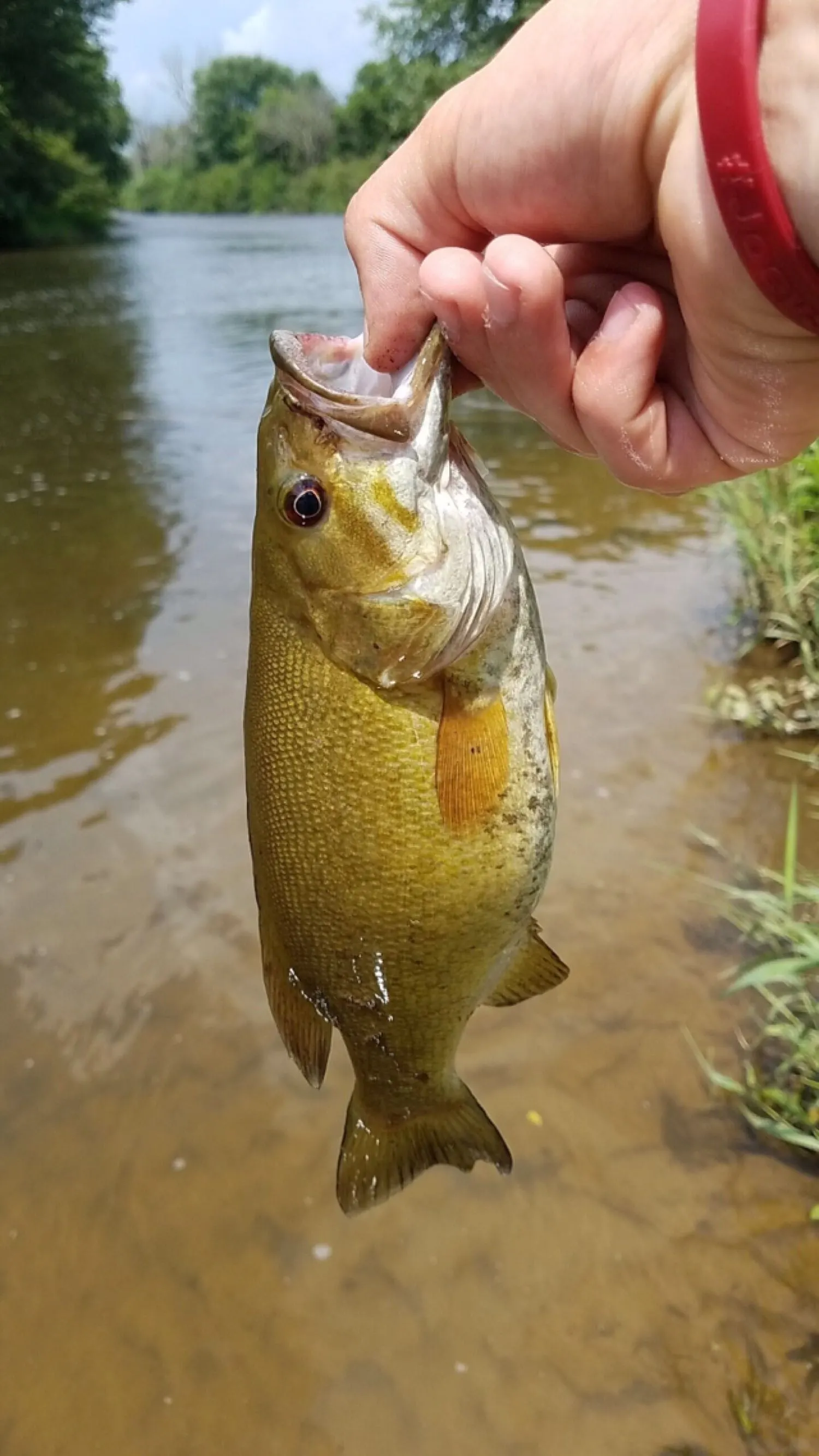 Post image from jakewickett