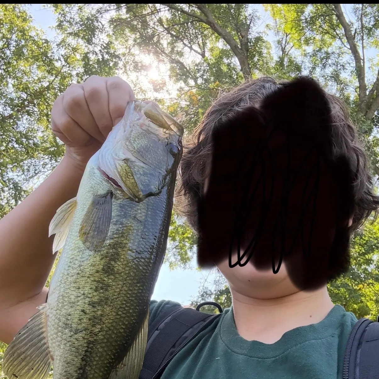 Largemouth bass caught on Fishbrain
